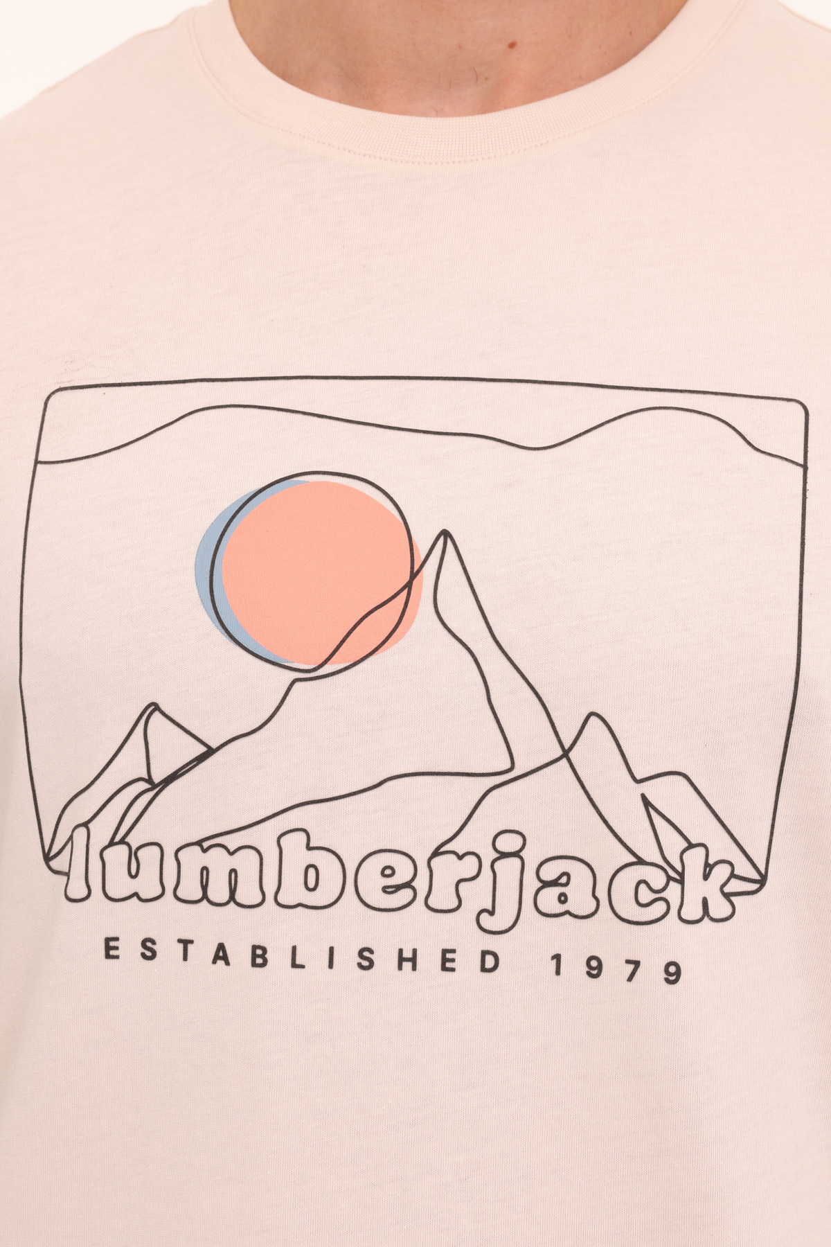 تی شرت مردانه راسته آستین کوتاه | لامبرجک Lumberjack ML GREYS 11URB2028 4PR - تصویر 4