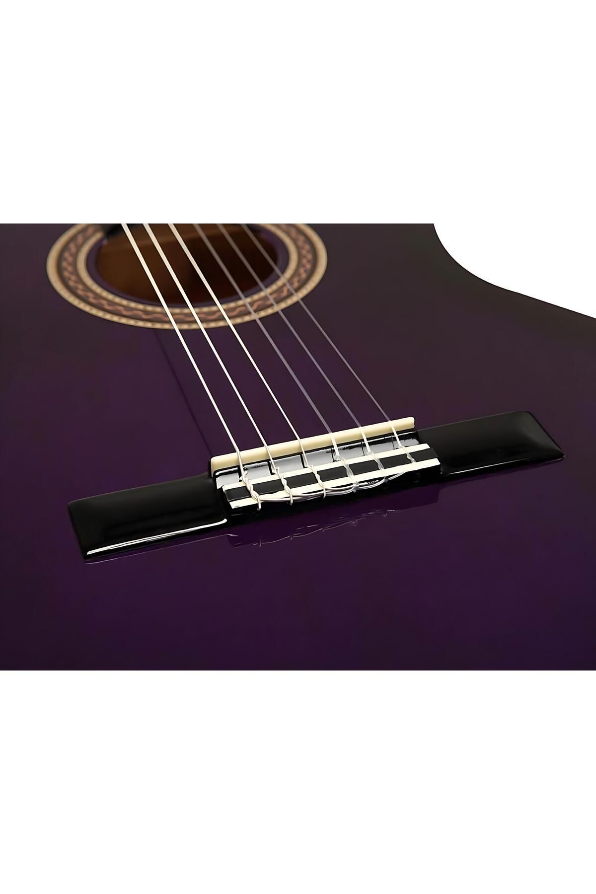 VALENCIA-VC104PPS, classical guitar, size 4/4, purple sunburst finish 3