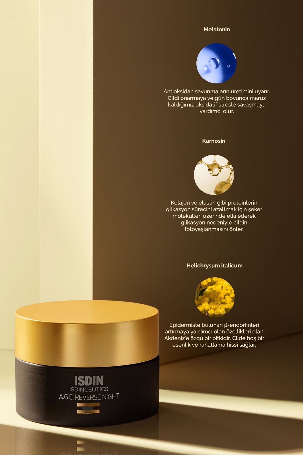 ISDINCEUTICS-A.G.E. Reverse Night Anti Aging Cream 50 ml 4
