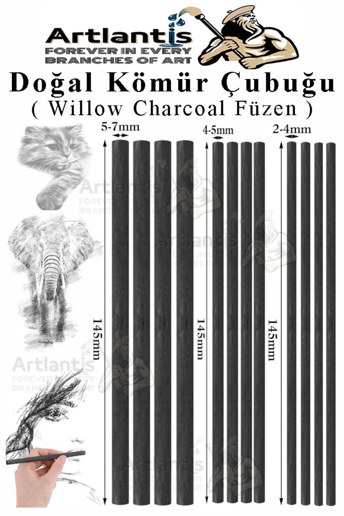 Artlantis Kömür Çubukları Doğal Füzen 12 li 1 Paket Eskiz Karakalem Çizim Gölgeleme Kömürü Siyah Willow Charco