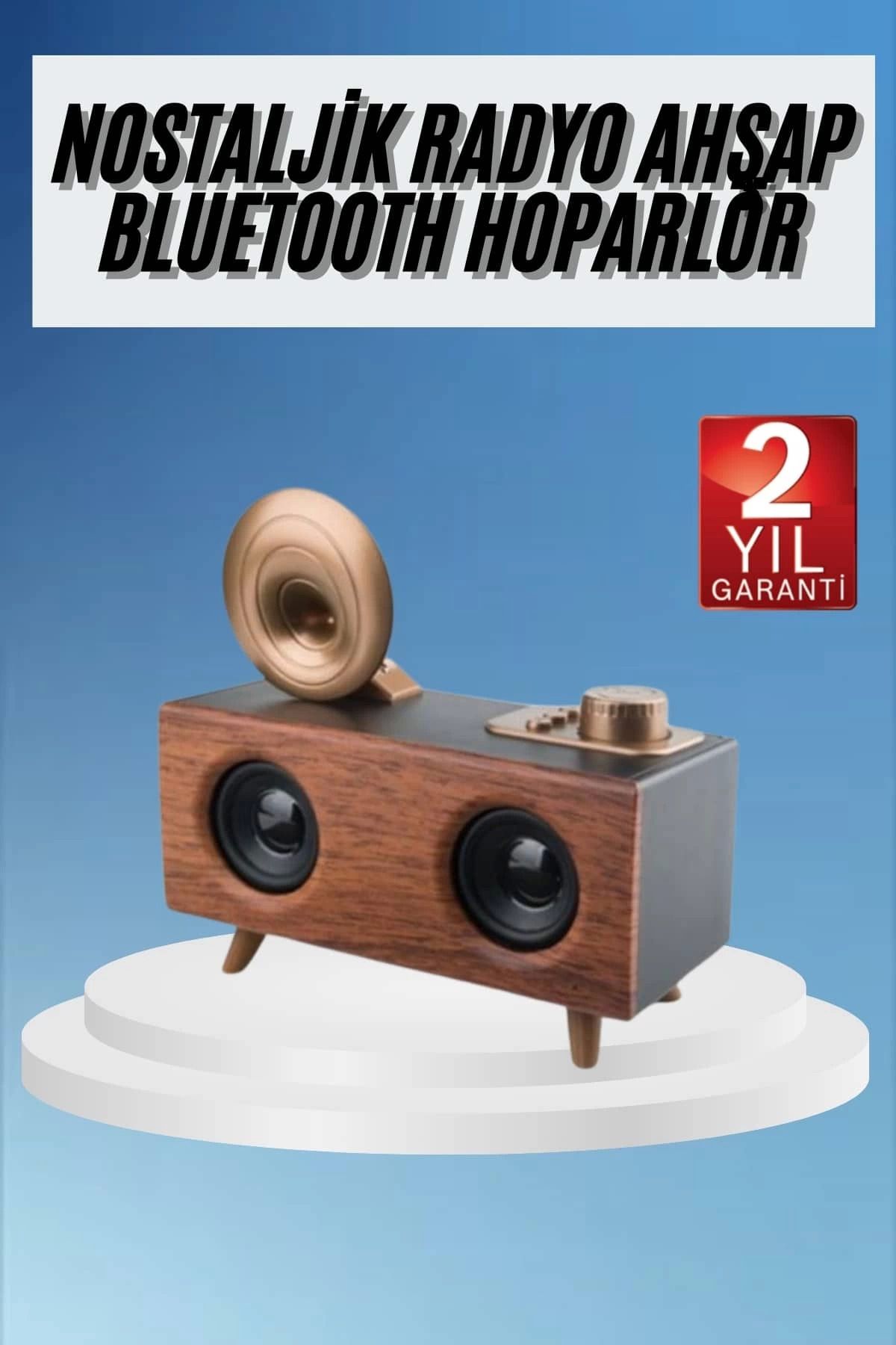 hayalimsah Gramafon Radyo Bluetooth Hoparlör Nostaljik Radyo FM Radyo