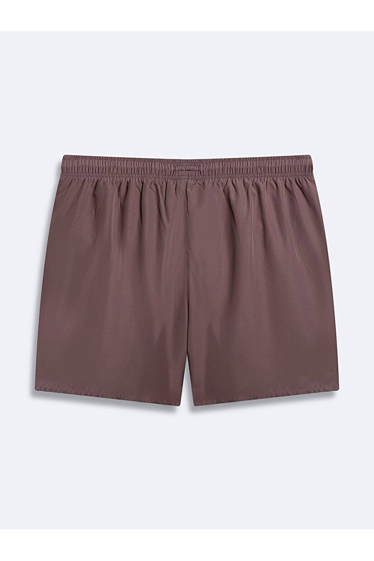 Ltb-Basic Regular Gray Swim Shorts 2