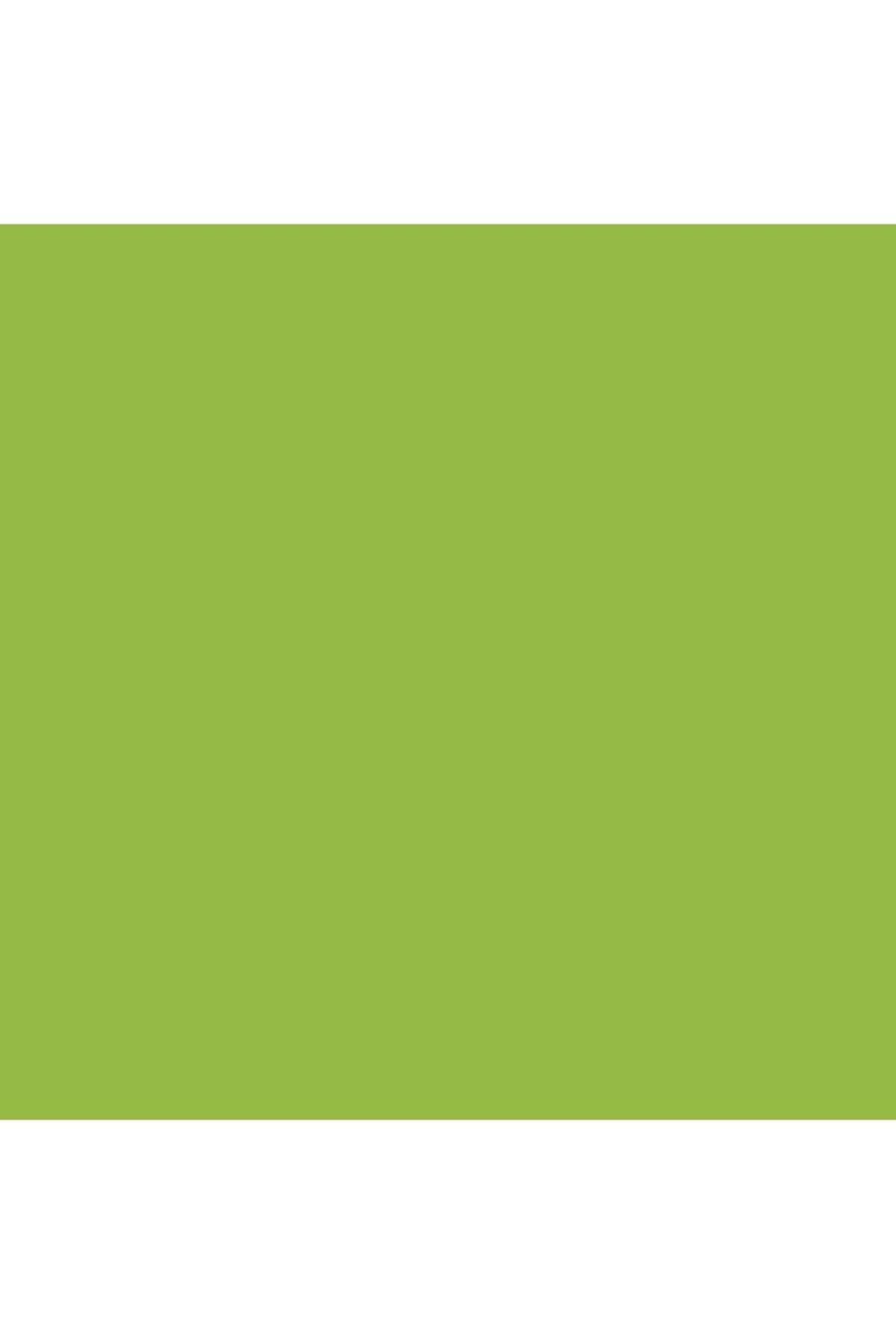 Generic-KRYLON Fusion All-In-One Rust Resistant Spray Paint Gloss Jungle Green 12oz K02712007 6