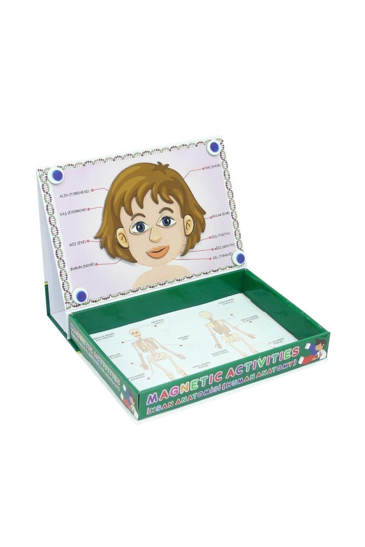 NW NessiWorld LC7171 Laço, Laço, Manyetik Aktiviteler - İnsan Anatomisi / +3 yaş