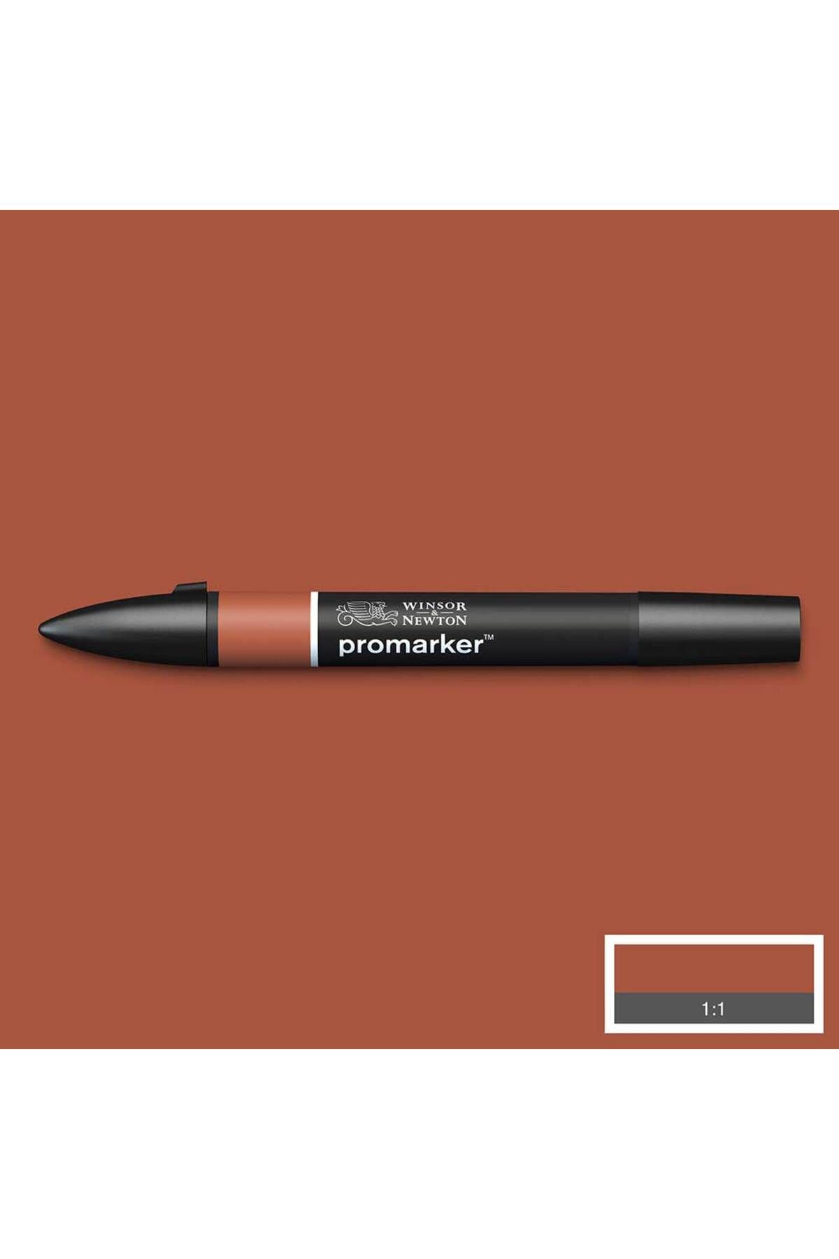 Winsor Newton Winsor & Newton Promarker Burnt Umber 076 (R646)