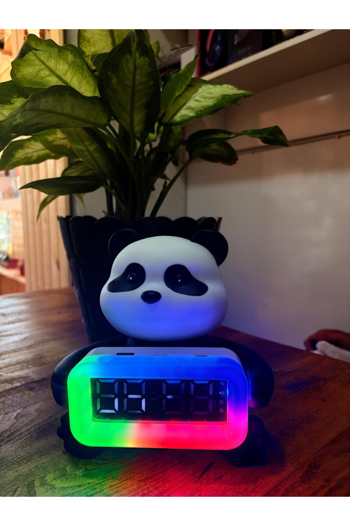 shop PANDA MASA SAATİ HOPARLÖR GECE LAMBASI
