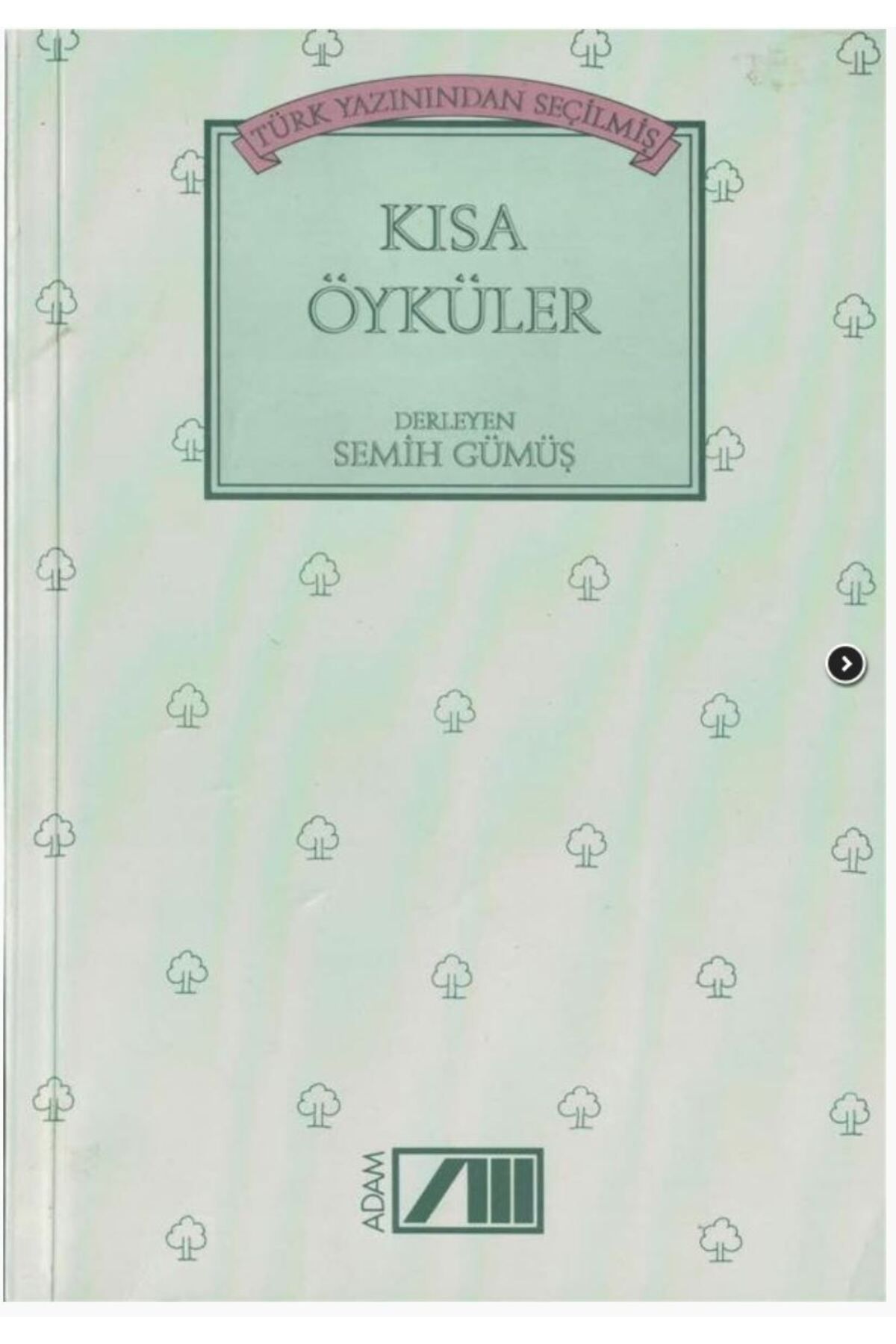 Adam Yayınları Türk Yazınından Seçilmiş Kısa Öyküler (Semih Gümüş)