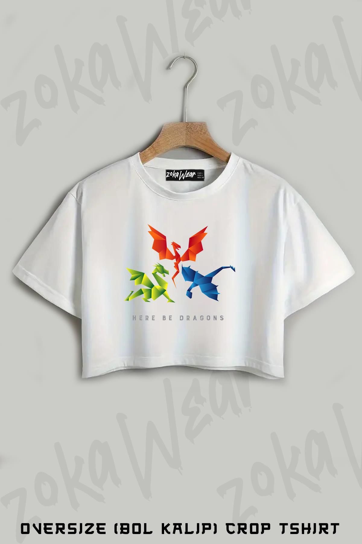 ZOKAWEAR Scp 1762 Where The Dragons Went Origami Baskılı Oversize Crop T-Shirt