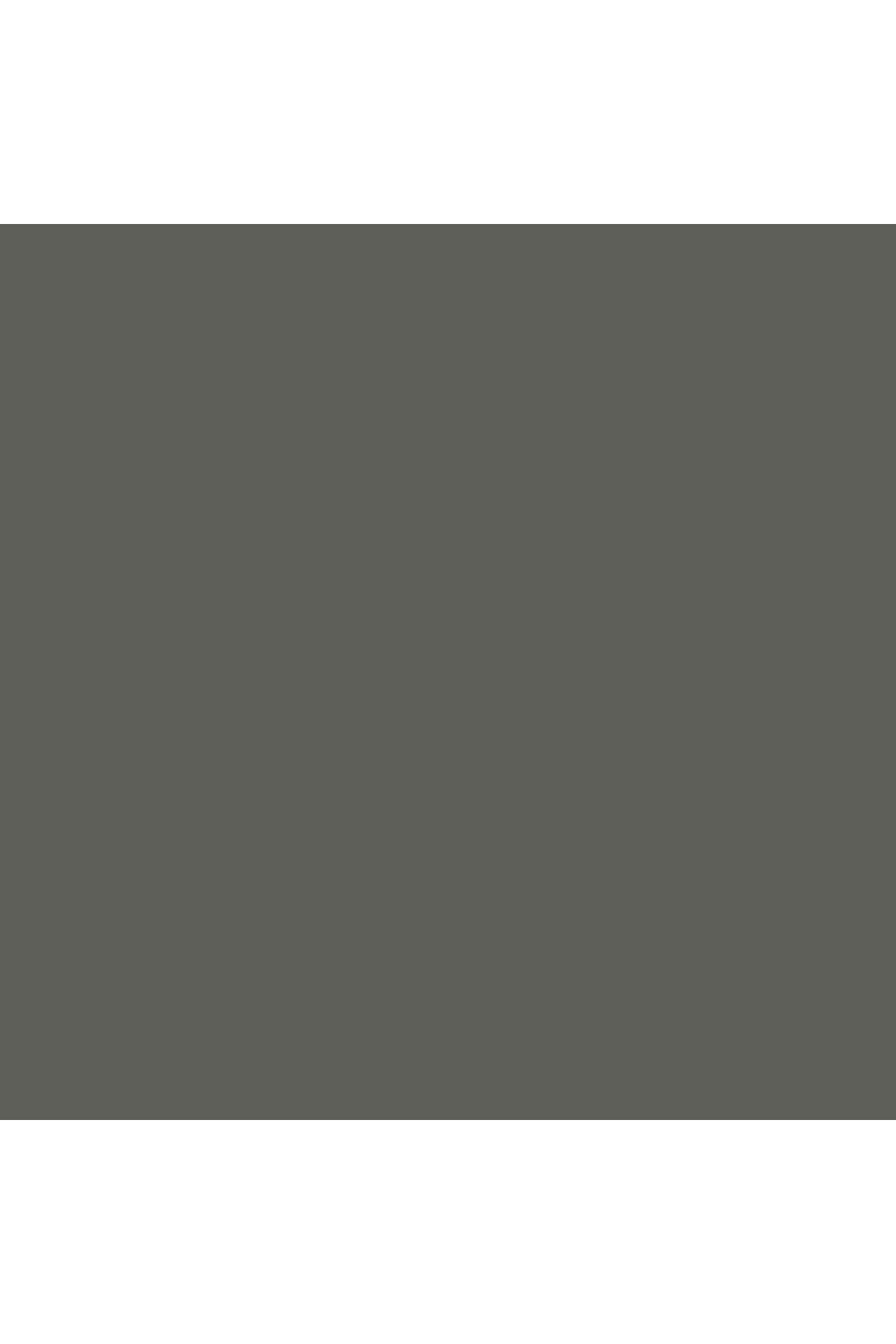 Winsor Newton-Winsor & Newton Promarker Cool Grey 5 157 (CG5) 3