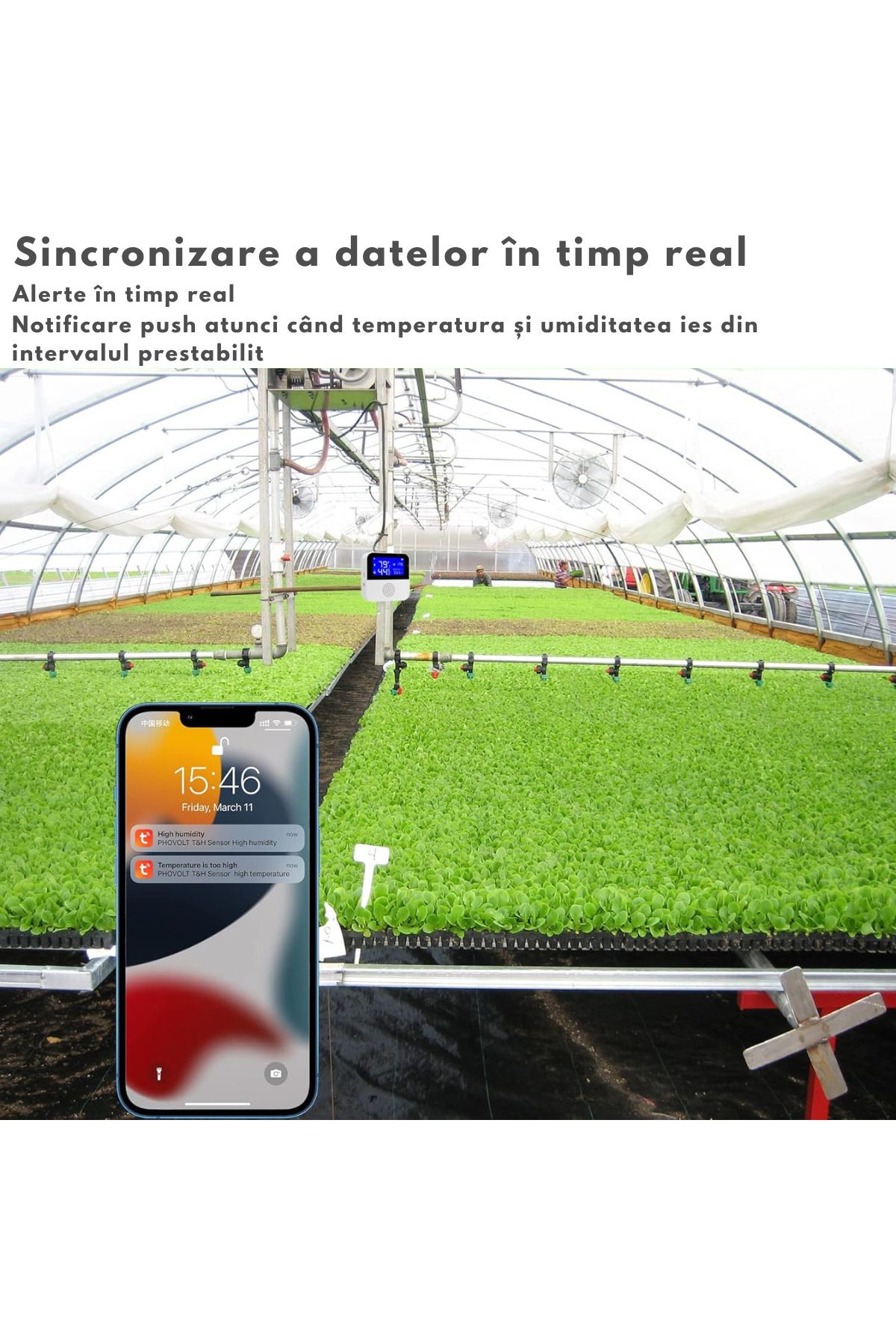 VisionHub-Senzor Temperatura, Umiditate Wifi Inteligent, Termometru Monitorizare Prin Aplicatie, Sonda Externa 10