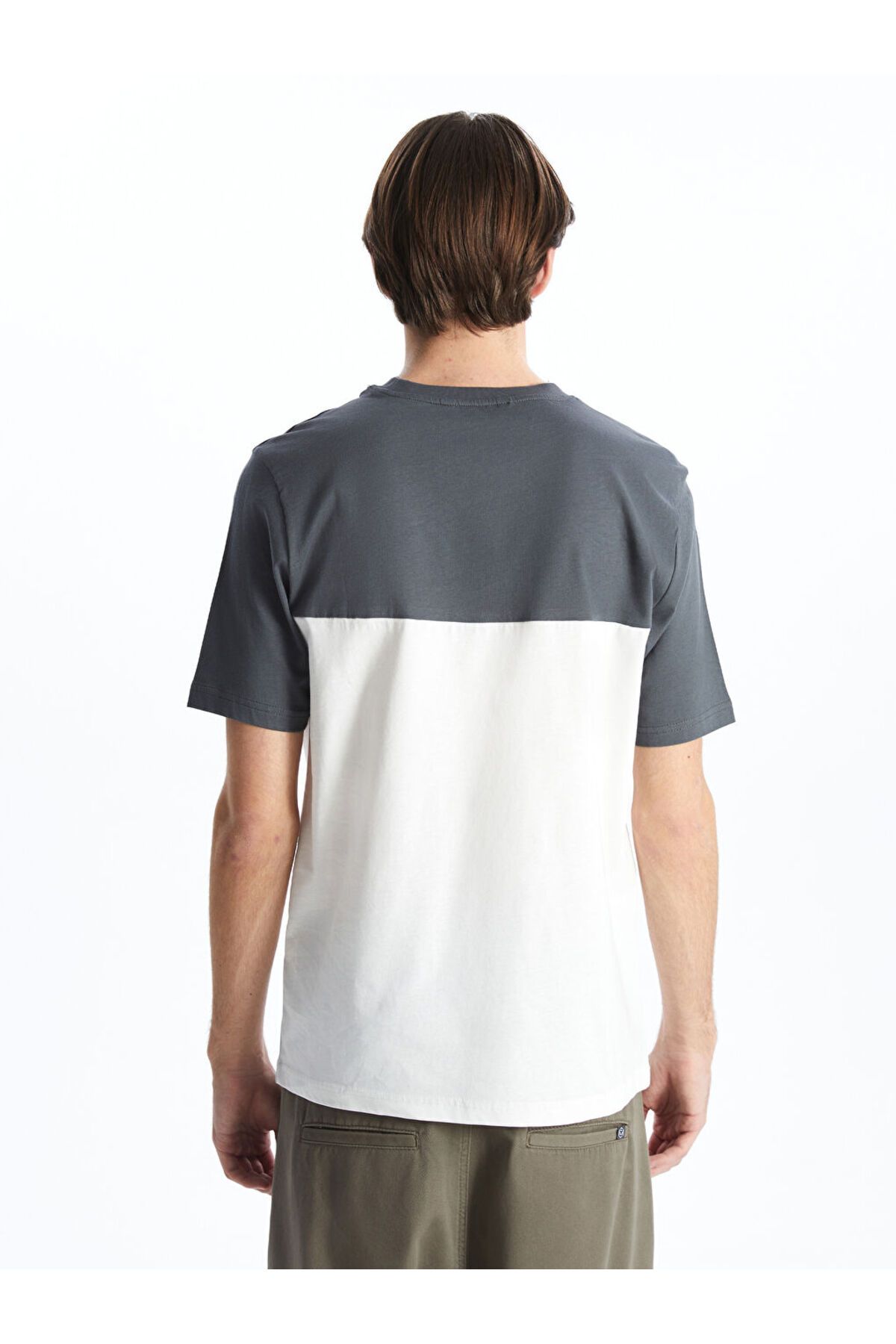 LC Waikiki-Ανδρικό μπλουζάκι Crew Neck Color Block 4