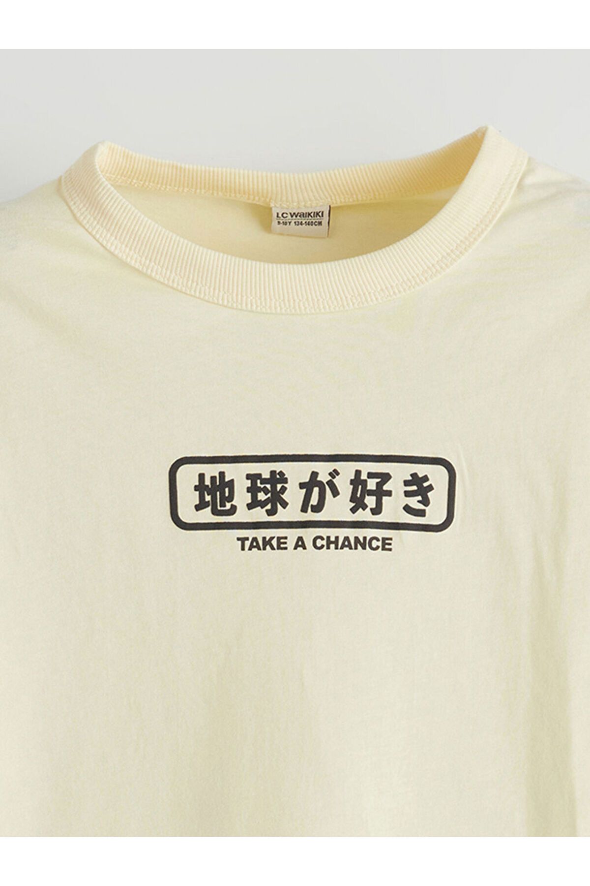 LC Waikiki-Sari Crew Neck Boy's T-Shirt 3