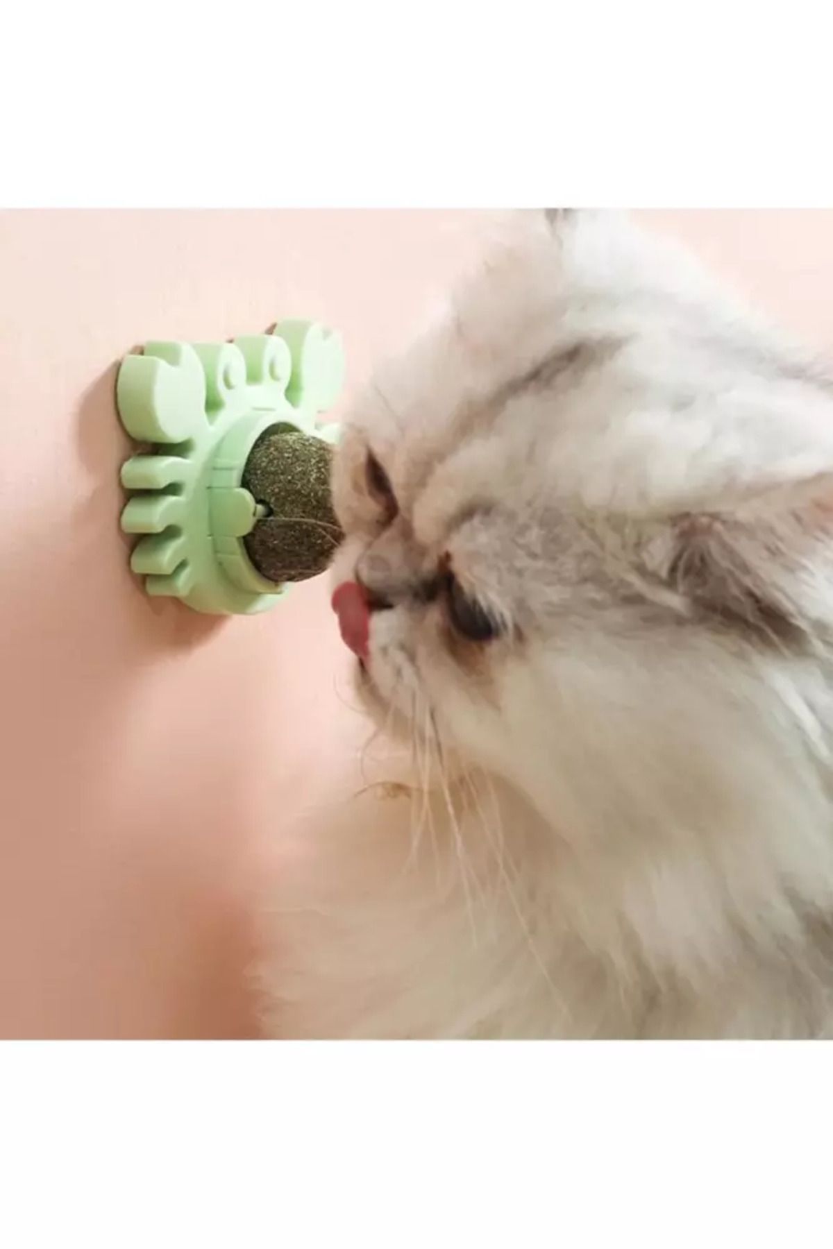 Vexahome Yengeç Kedi Otu Oyun Topu