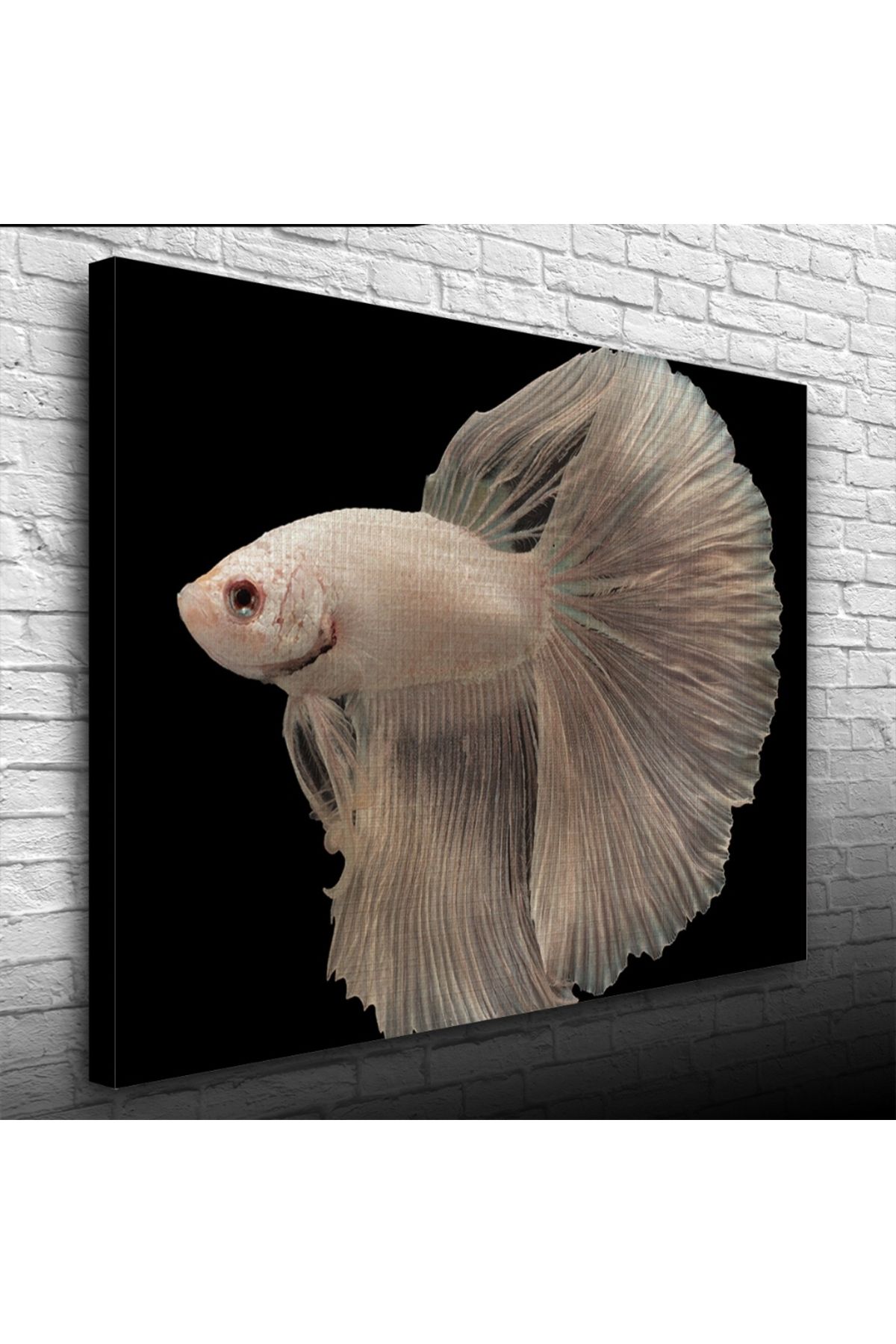Kanonik Education Siyam Balığı Kanvas Tablo 50 x 70