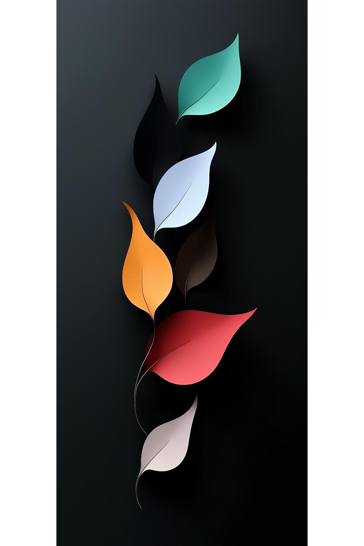 Boyut poster