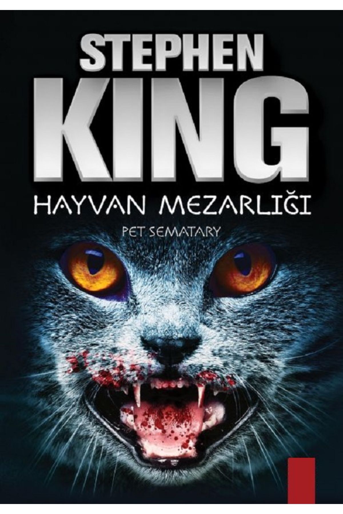Bloomsbury Hayvan Mezarlığı - Stephen King