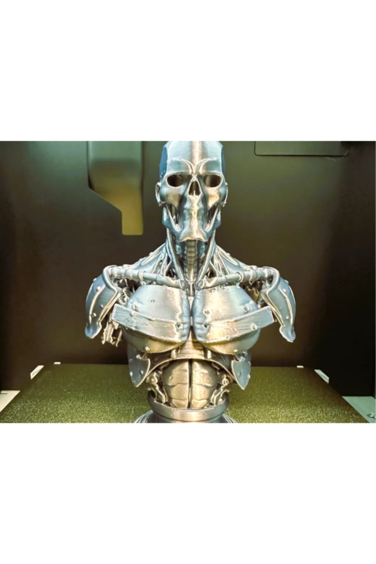 NOMOTHETIC Cyborg Büst Figürü