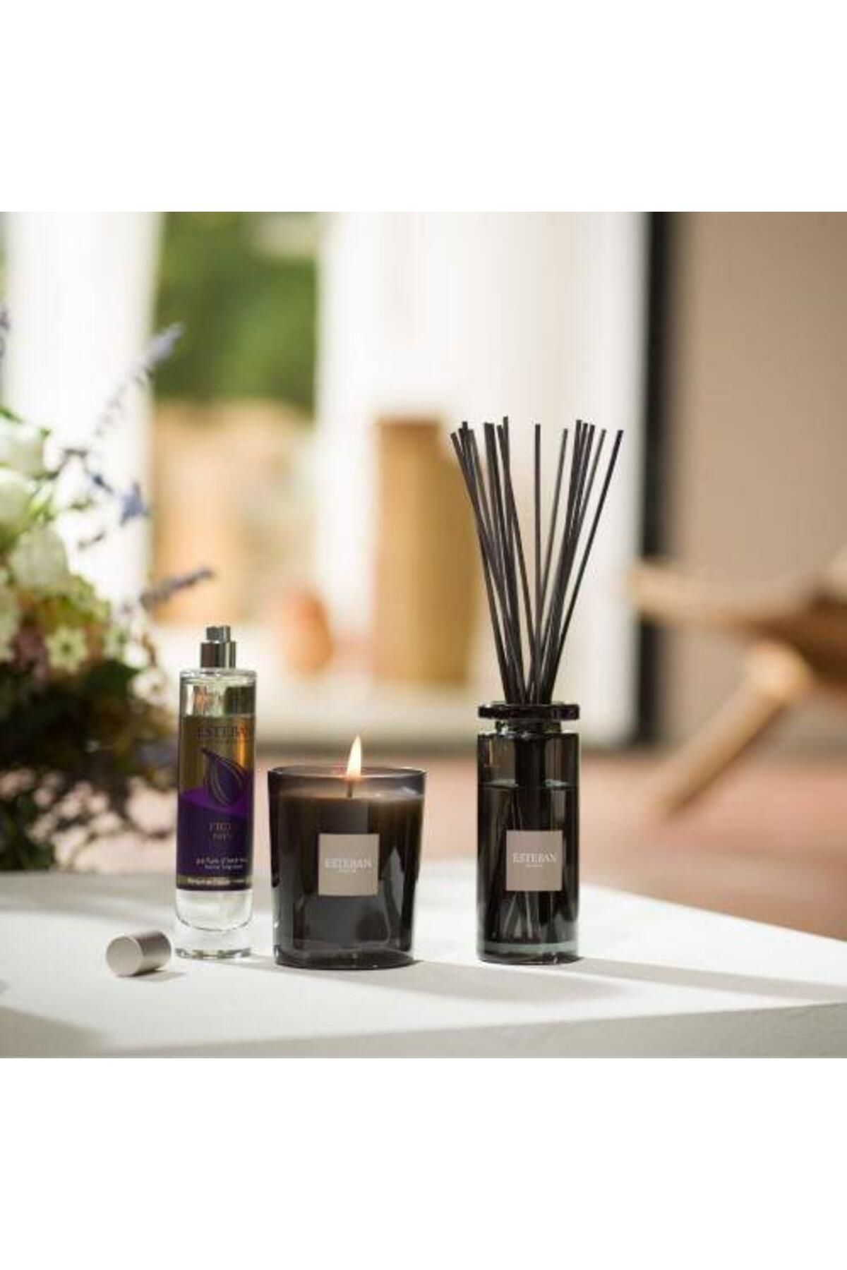 Esteban Paris-Figue Noire Perfume Diffuser 100ml - 3