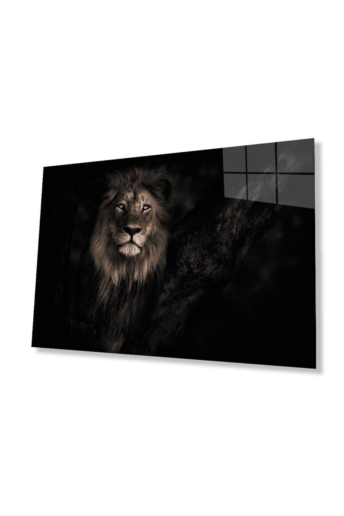idealizbiz Aslan Cam Tablo 4mm Dayanıklı Temperli Cam
