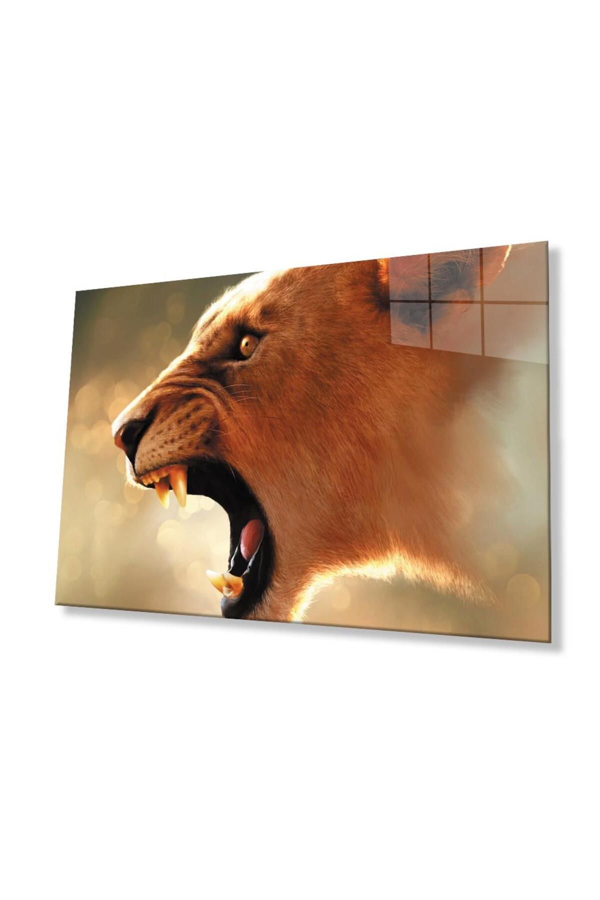 idealizbiz Aslan Cam Tablo 4mm Dayanıklı Temperli Cam
