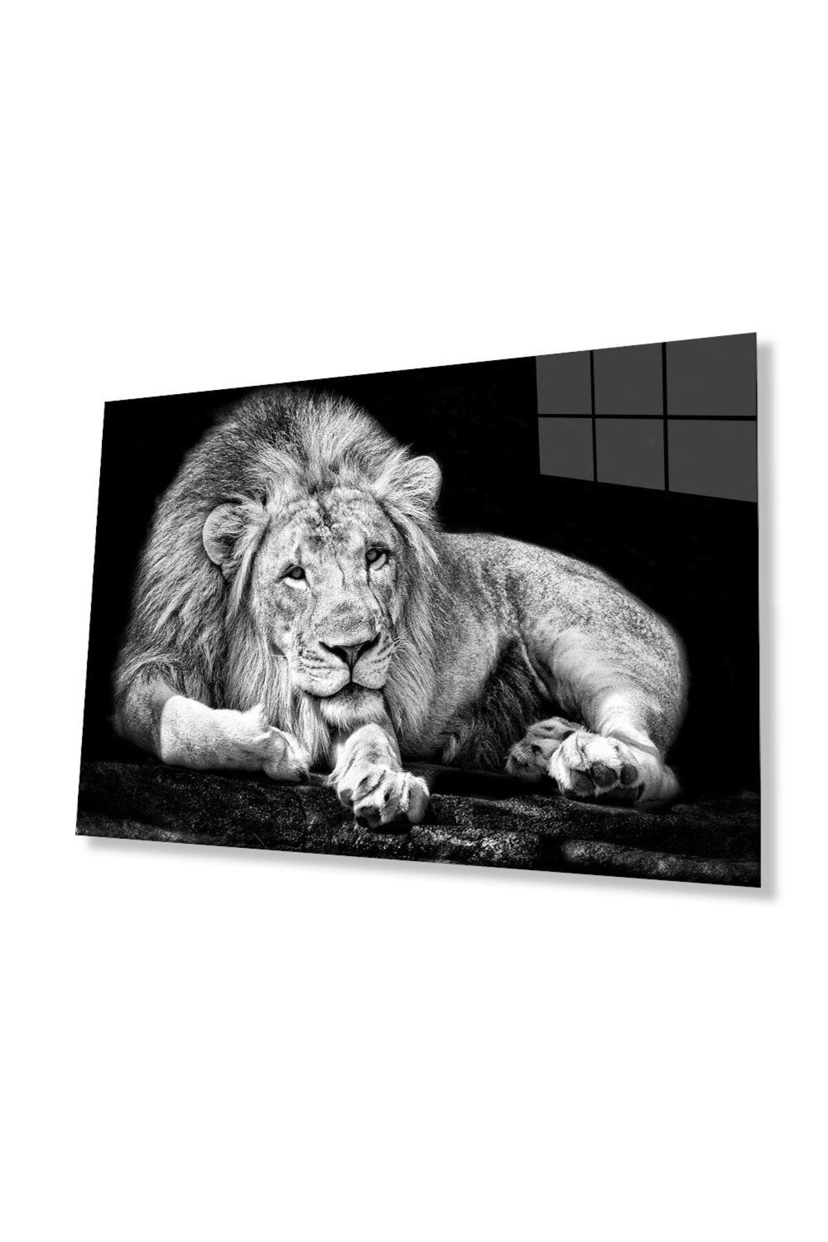 idealizbiz Aslan Cam Tablo 4mm Dayanıklı Temperli Cam