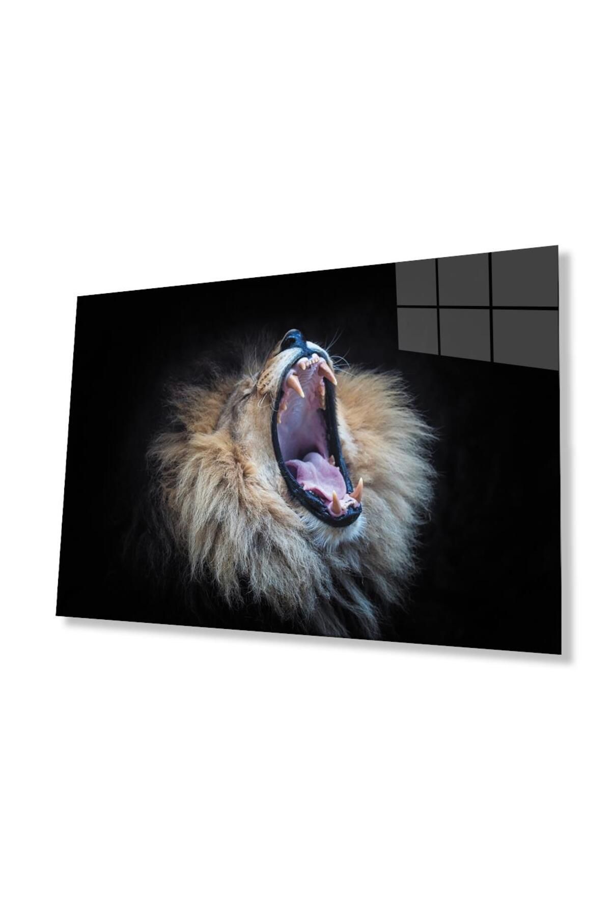 idealizbiz Aslan Cam Tablo 4mm Dayanıklı Temperli Cam