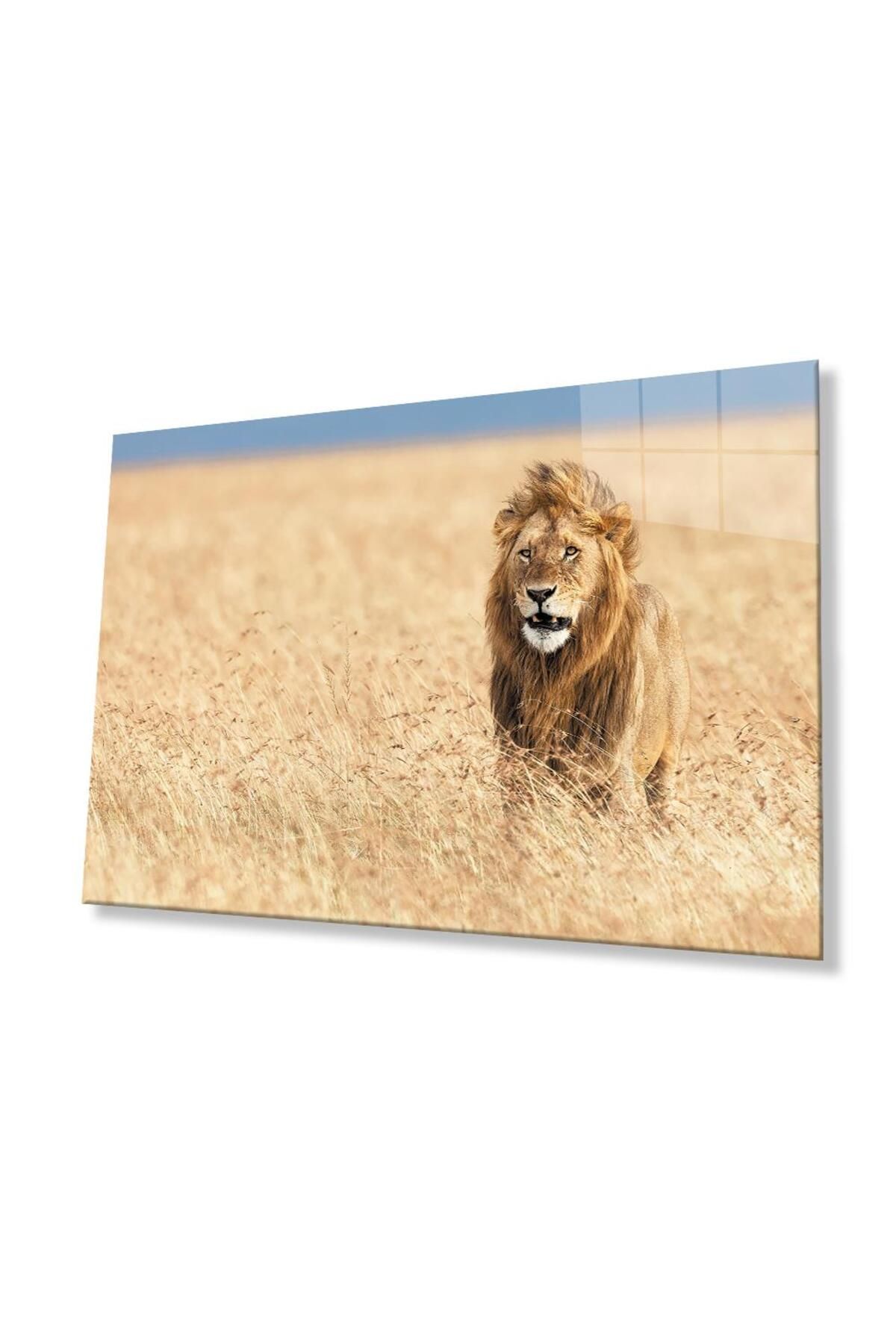 idealizbiz Aslan Cam Tablo 4mm Dayanıklı Temperli Cam