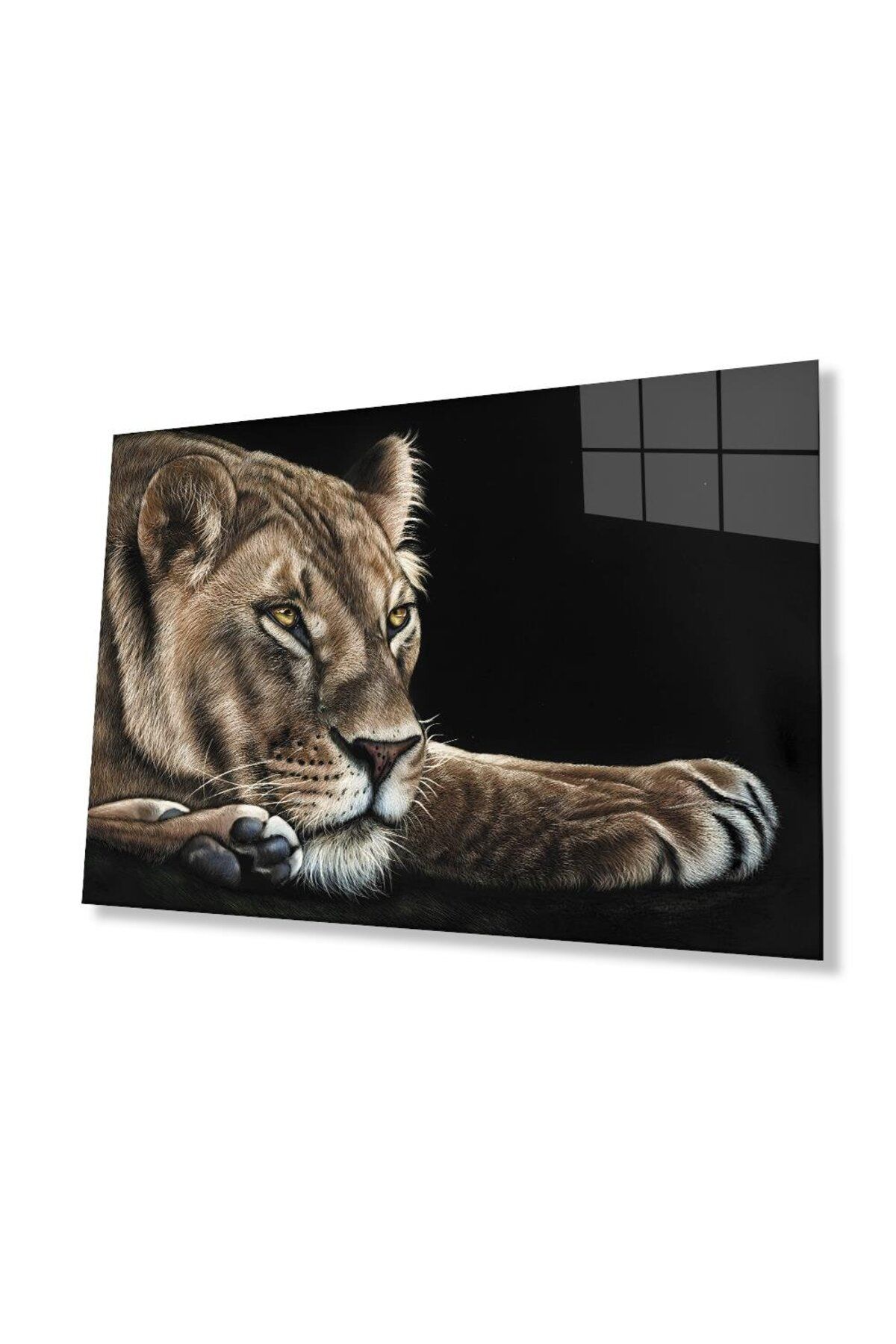 idealizbiz Aslan Cam Tablo 4mm Dayanıklı Temperli Cam