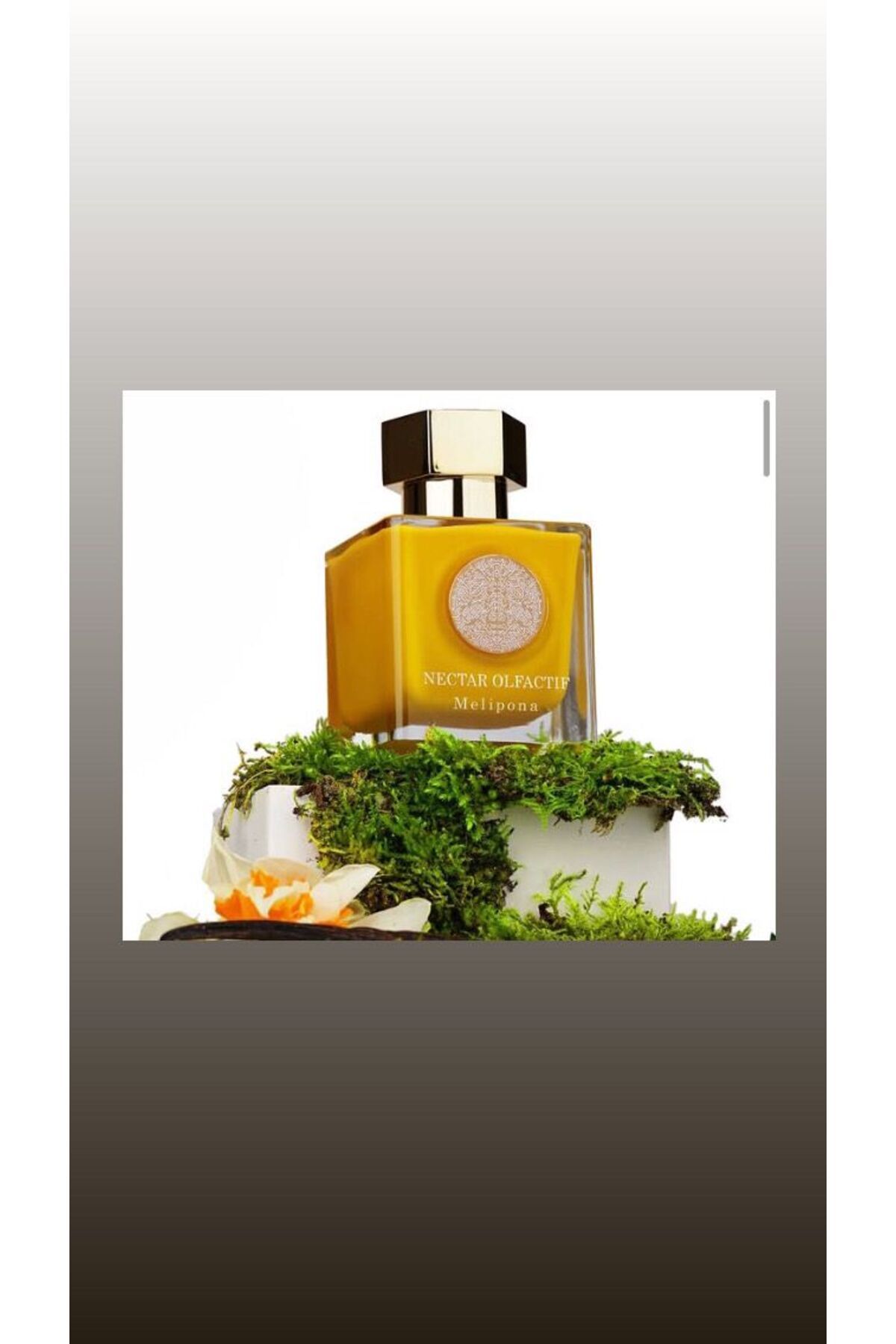 NECTAR OLFACTIF Nectar Olfactıf Melipona 100 ML EDP