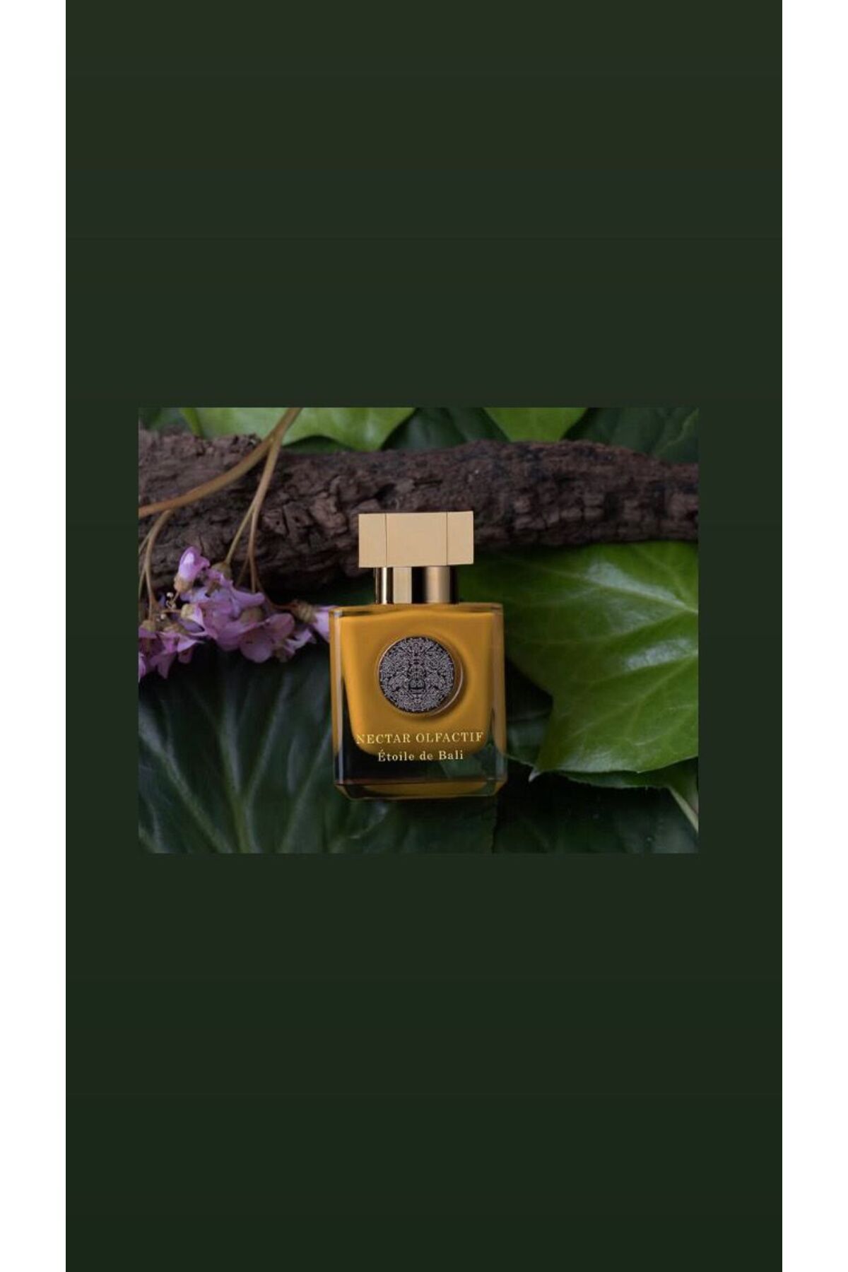 NECTAR OLFACTIF DE BALI 100ML