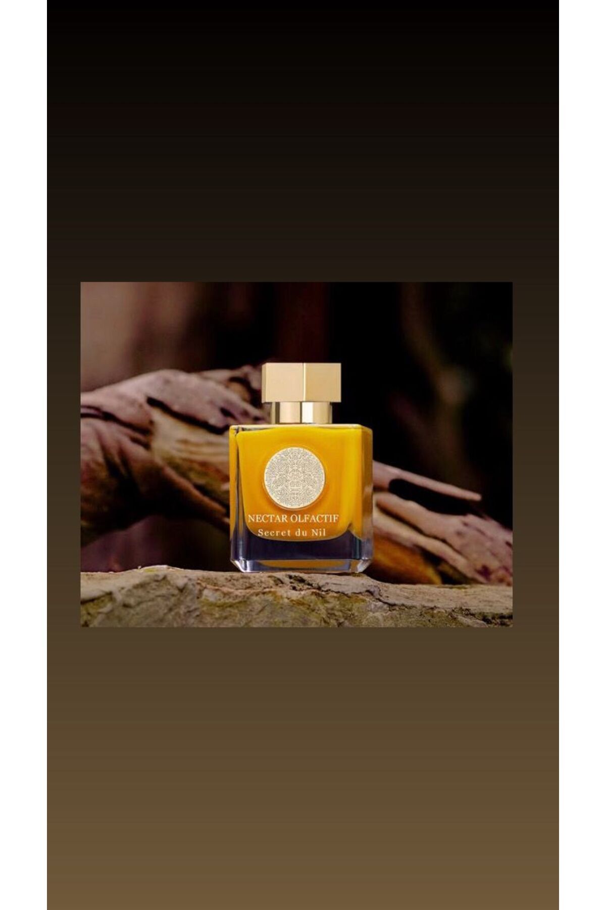 NECTAR OLFACTIF Secret du Nil Edp 100 Ml