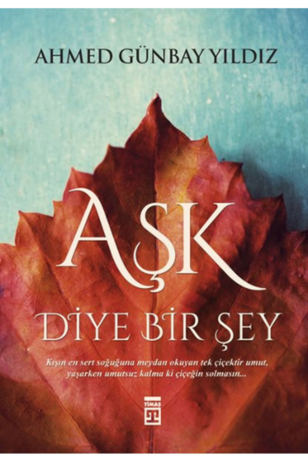 Timaş Yayınları Aşk Diye Bir Şey