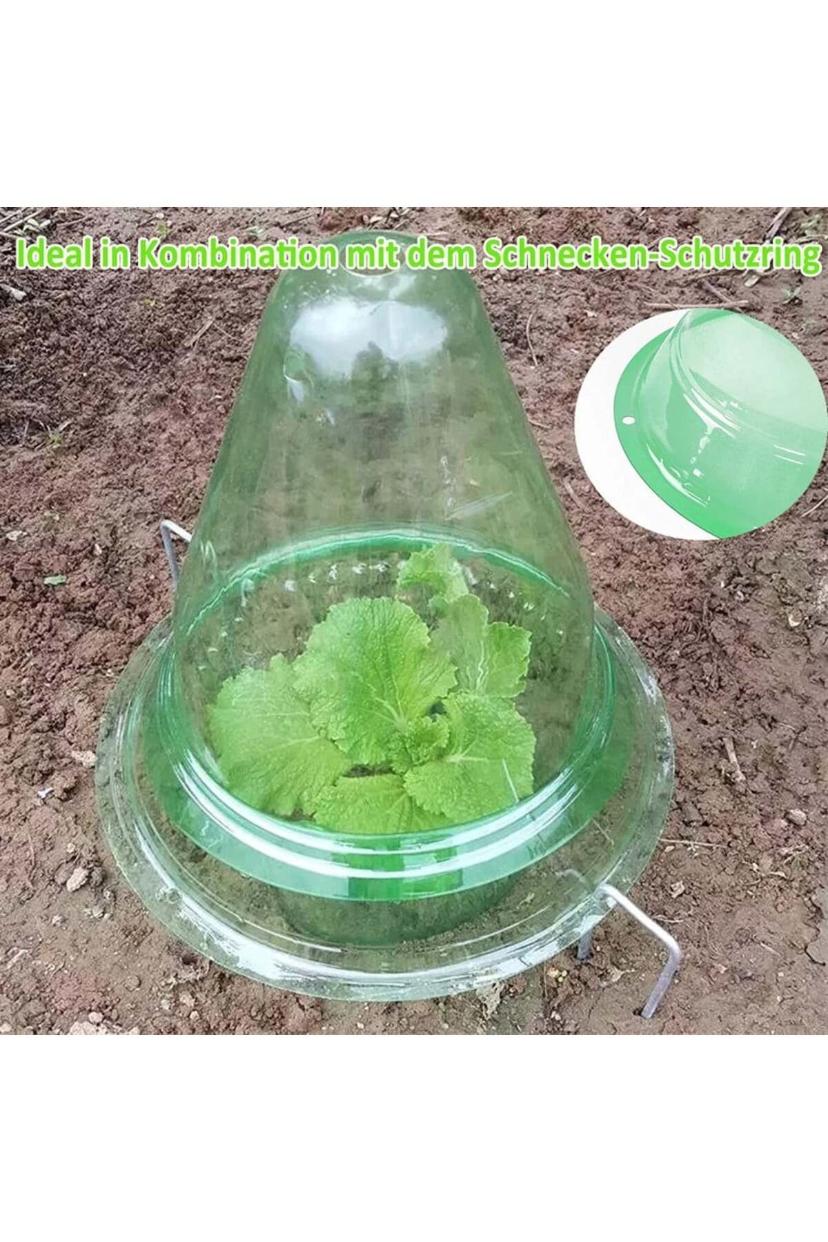 Cyymna-Set of 10 Cyymna plant protectors, PVC, green 6