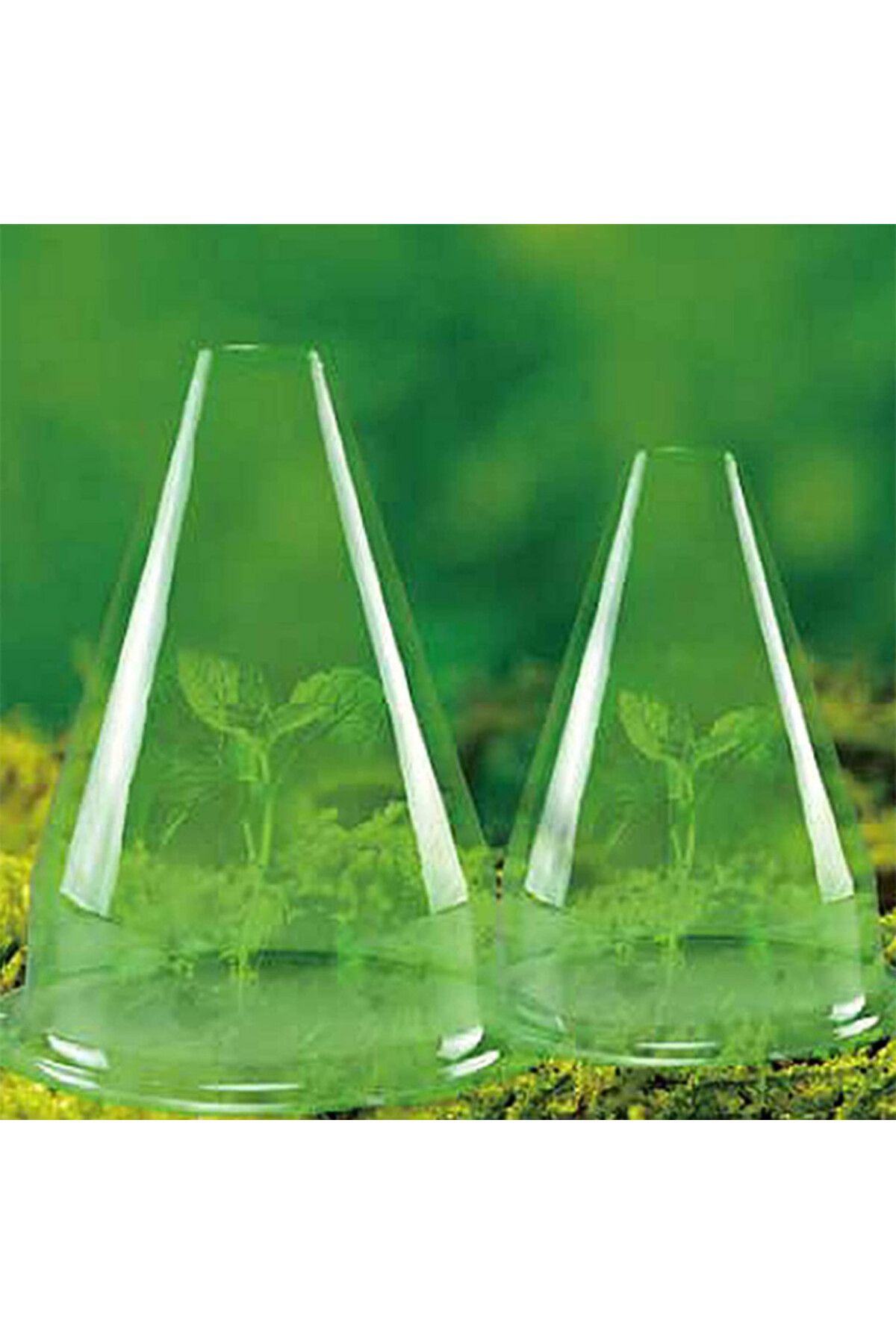 Cyymna-Set of 10 Cyymna plant protectors, PVC, green 4