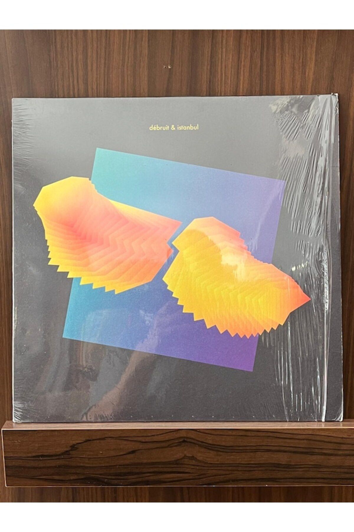 Ege Kitap ve Plak Evi Debruit - Debruit & İstanbul , Lp Electronic