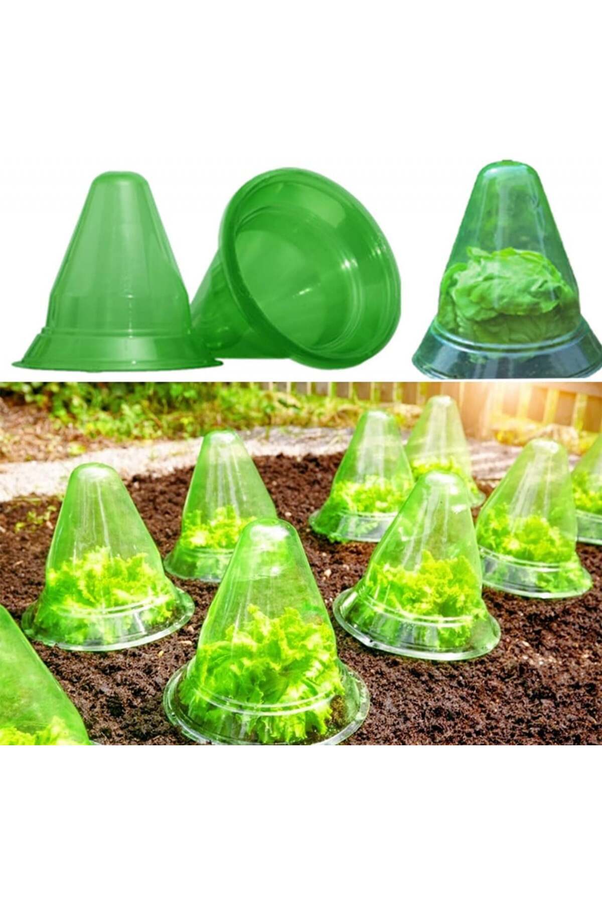 Cyymna-Set of 10 Cyymna plant protectors, PVC, green 5