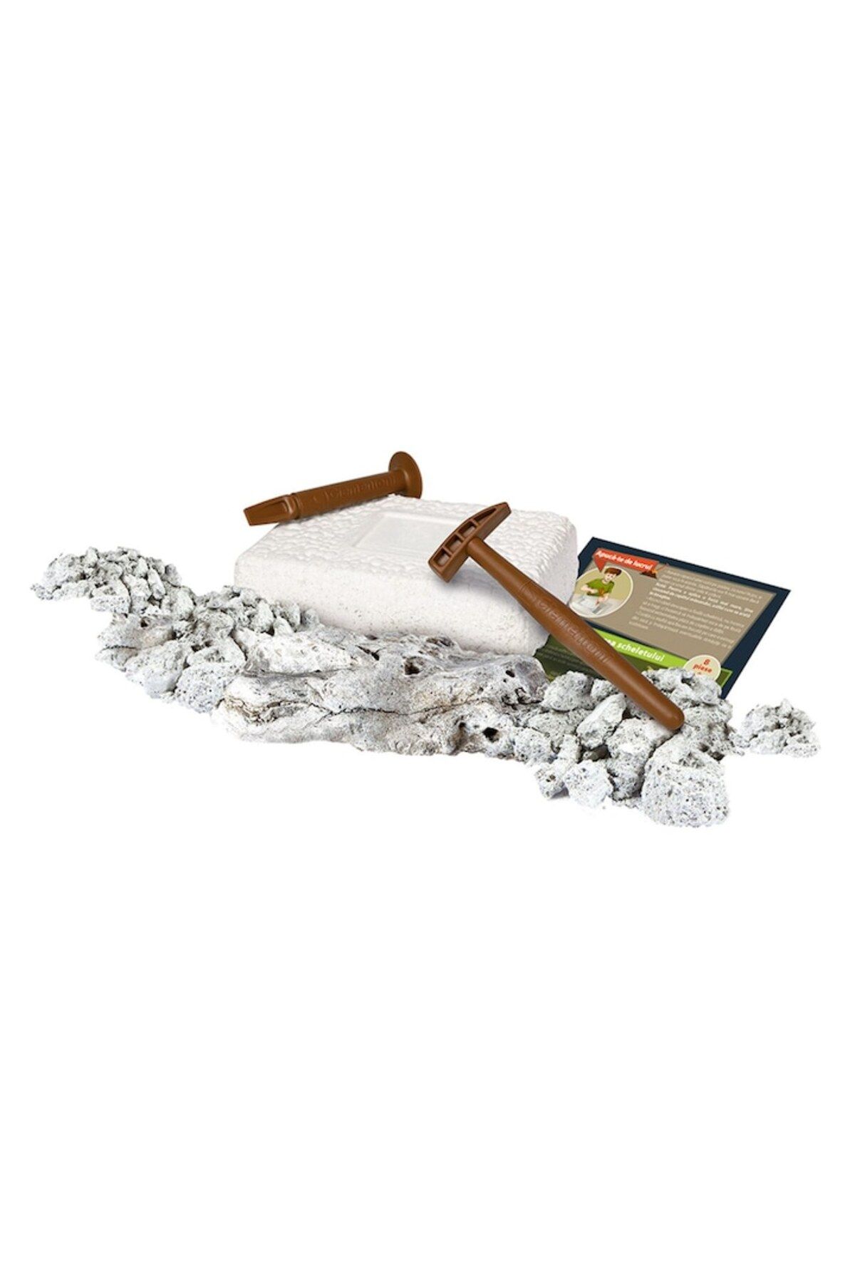 OEM-Fossil Set Dinosaurs by Clementoni, Tyrannosaurus, Glows in the Dark, Augmented Reality 3