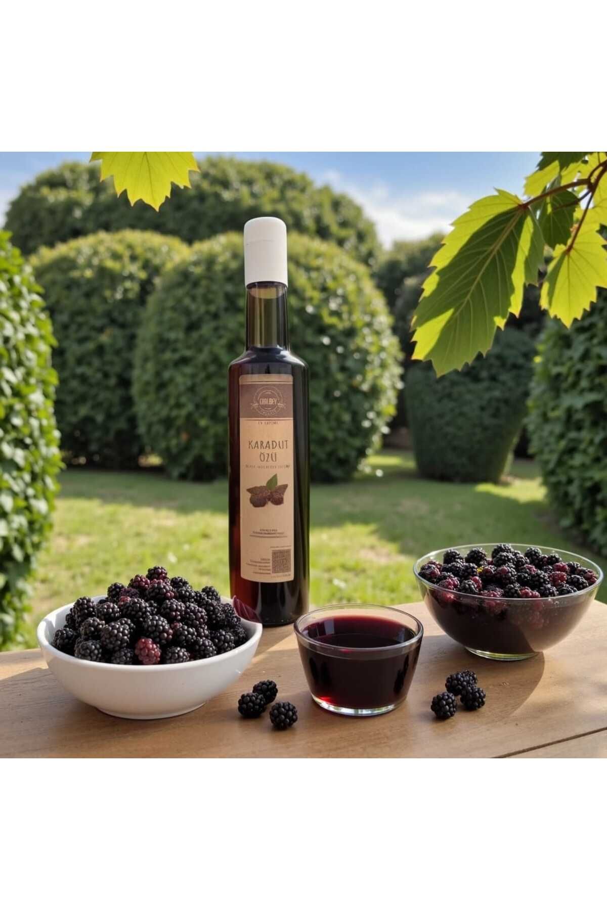 CANLIBEY Canlıbey Organik Karadut Özü 500ml – %100 Doğal & Katkısız