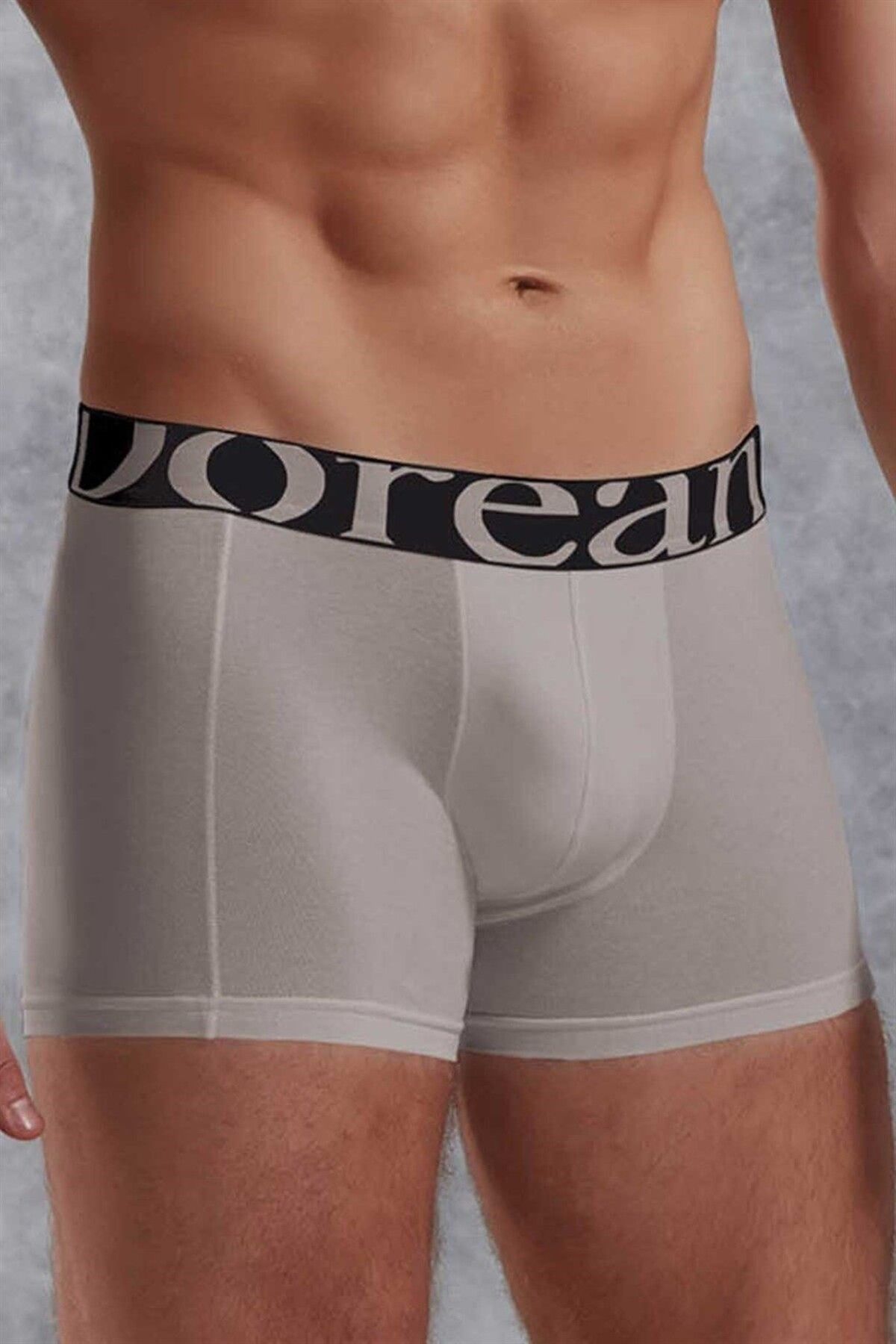 NazikEndam Dore anse Gri Erkek Modal Torbalı Normal Paça Boxer 1777