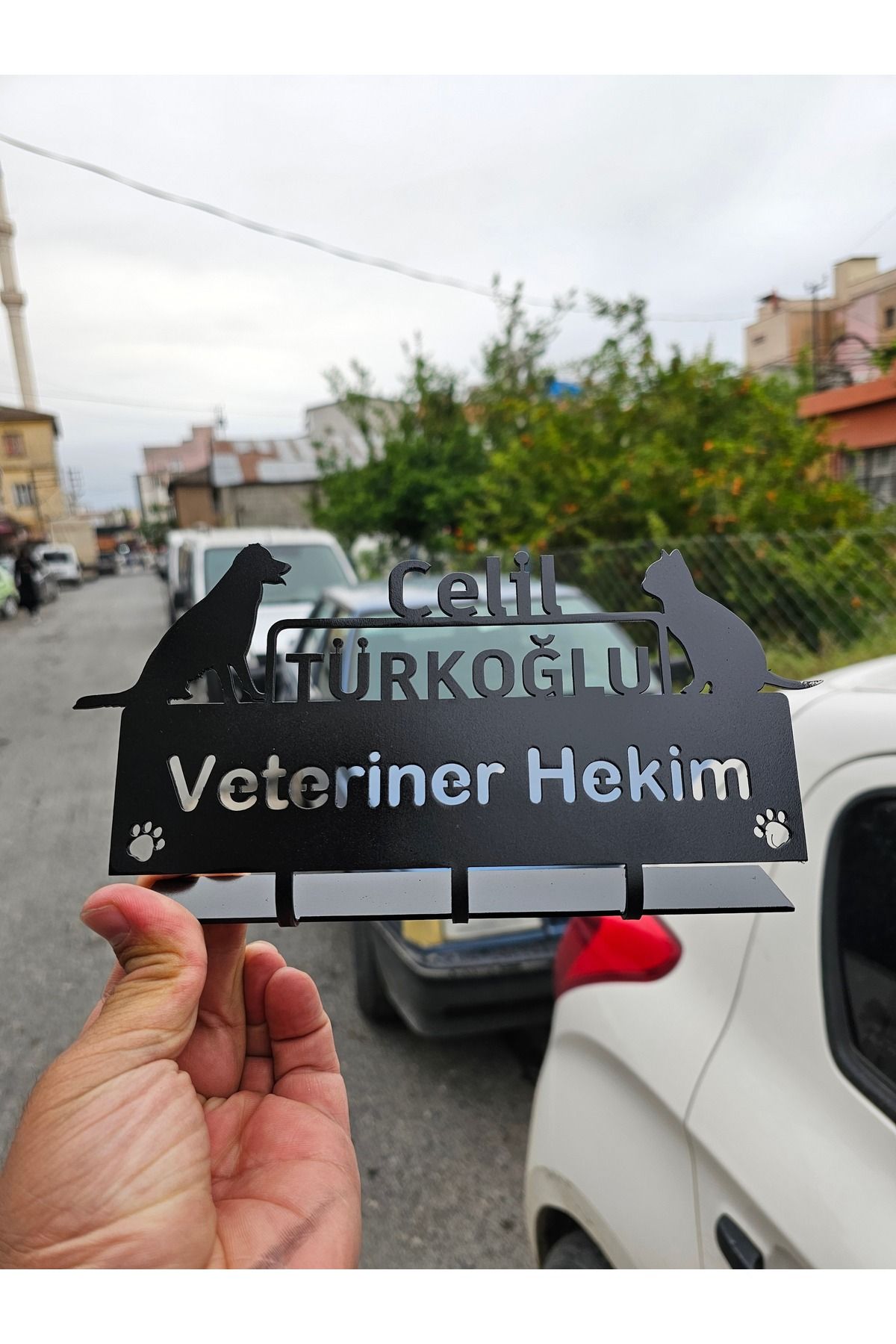 BDM421 Veteriner Hekim Masa Süsü