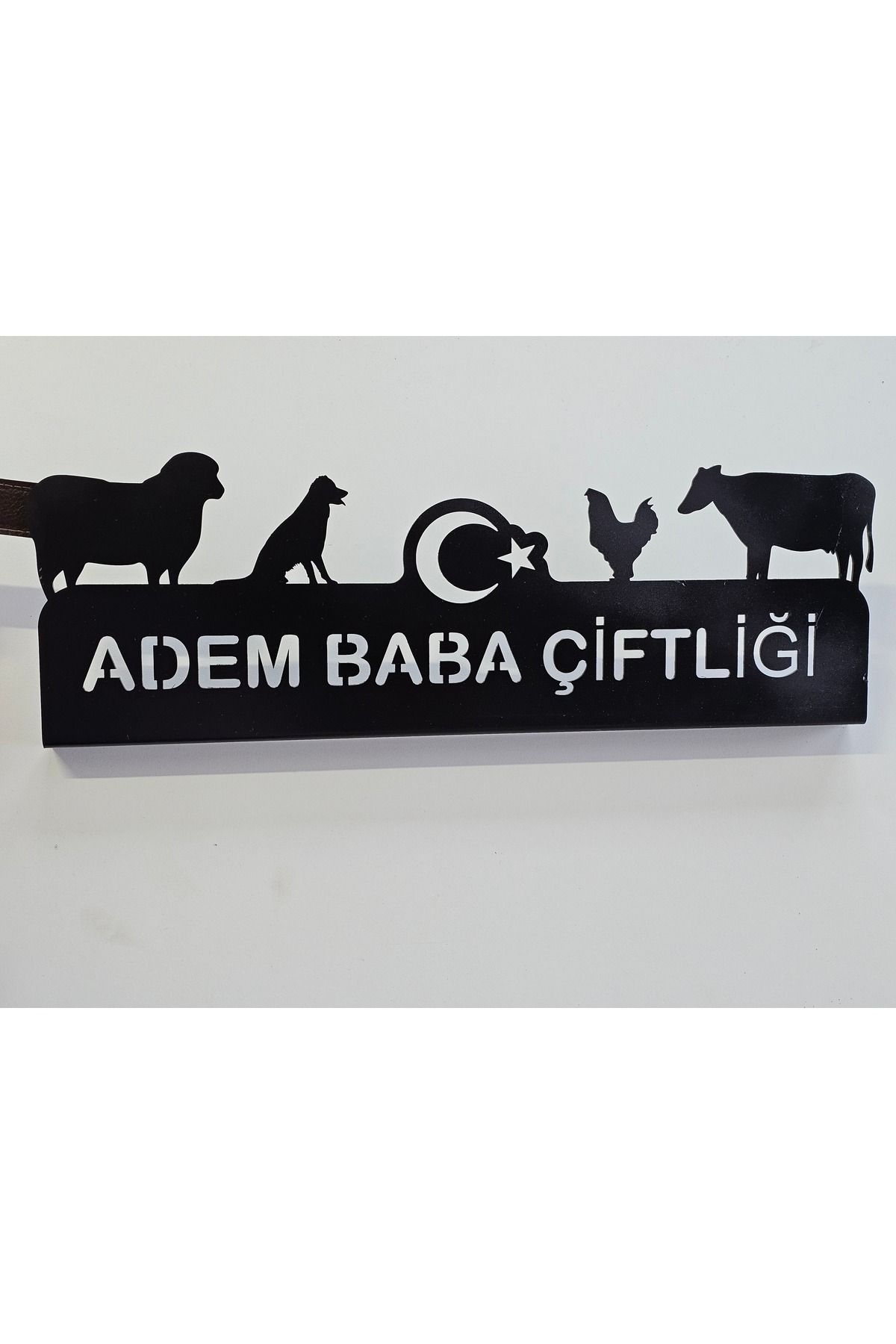 BDM421 Çiftlik Giriş Yazısı
