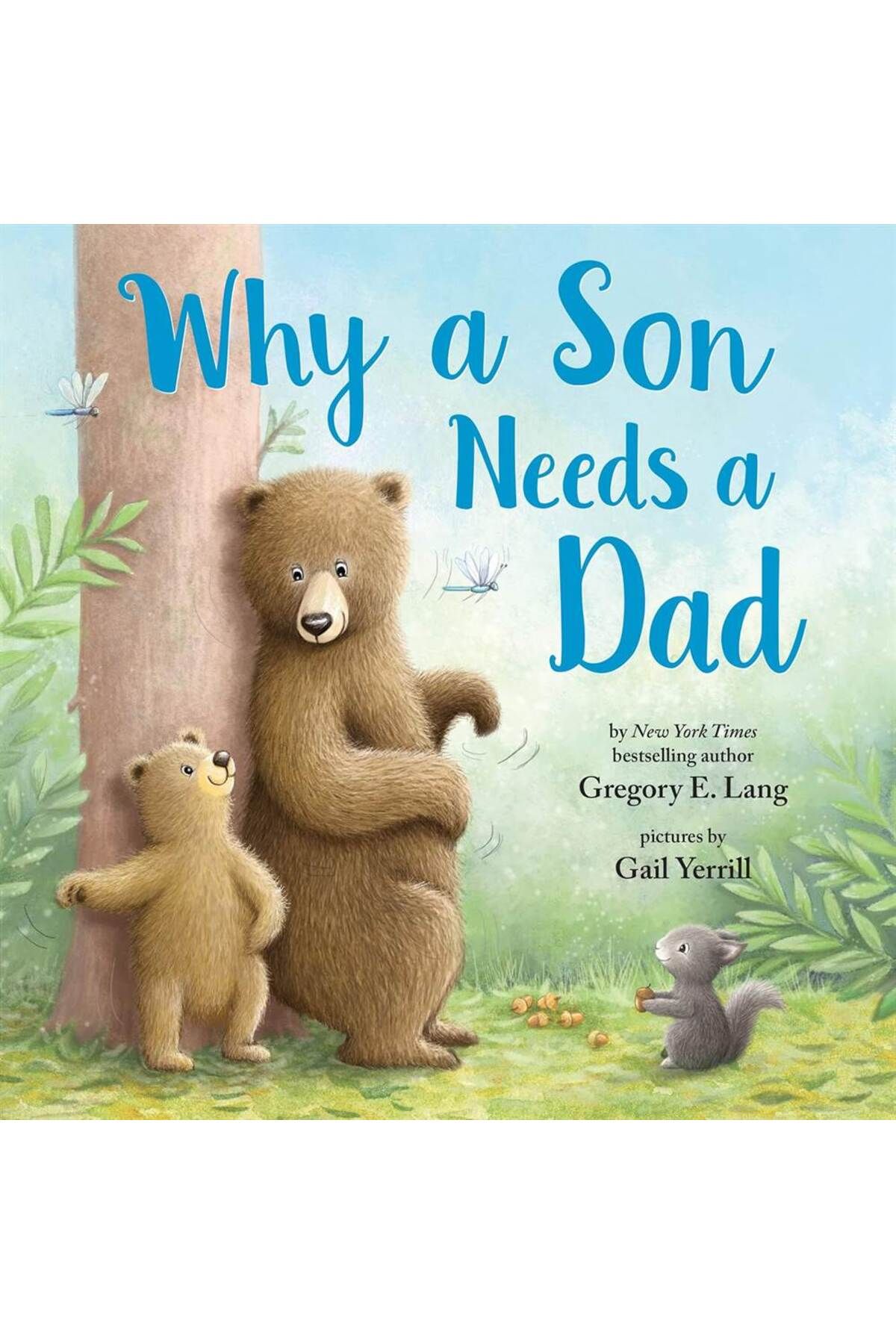 Sourcebooks Why a Son Needs a Dad