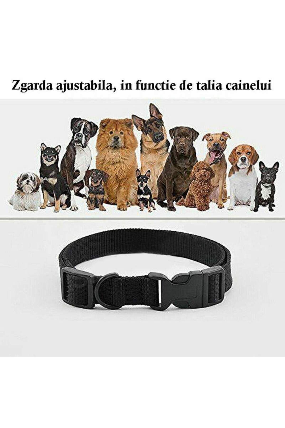 SIKS-Dog Training Collar, Adjustable, Receiver with LCD Display, 2 x 4LR44 6V Batteries Included 6