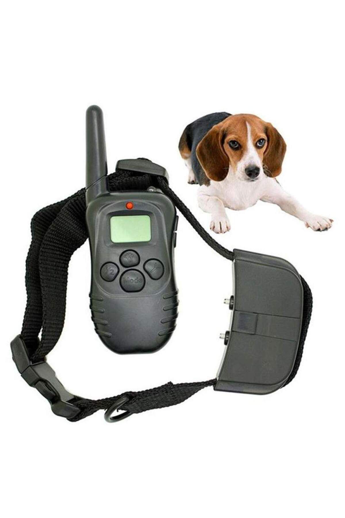 SIKS-Dog Training Collar, Adjustable, Receiver with LCD Display, 2 x 4LR44 6V Batteries Included 3