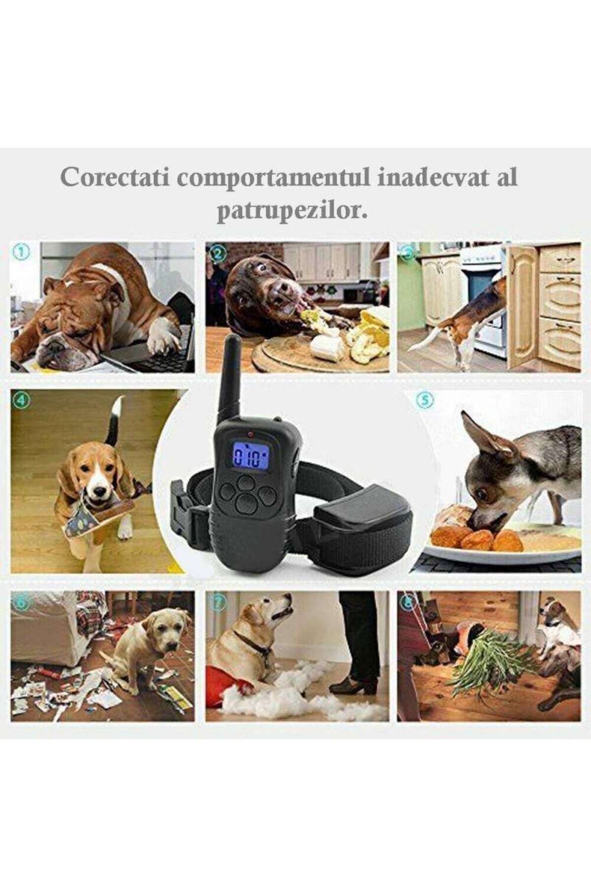 SIKS-Dog Training Collar, Adjustable, Receiver with LCD Display, 2 x 4LR44 6V Batteries Included 5