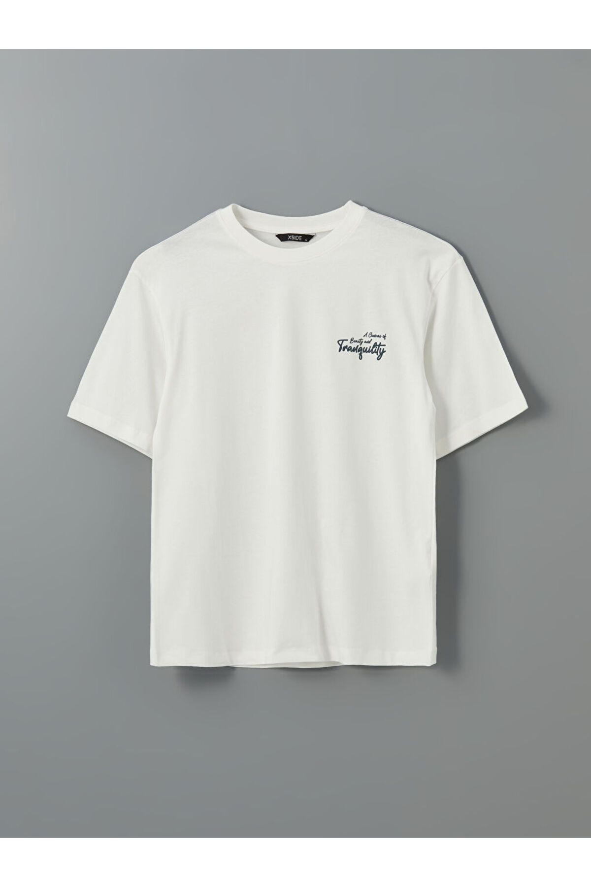 LC Waikiki-New Season Crew Neck εμπριμέ χτενισμένο βαμβακερό ανδρικό Tisort - S5IM10Z8 5