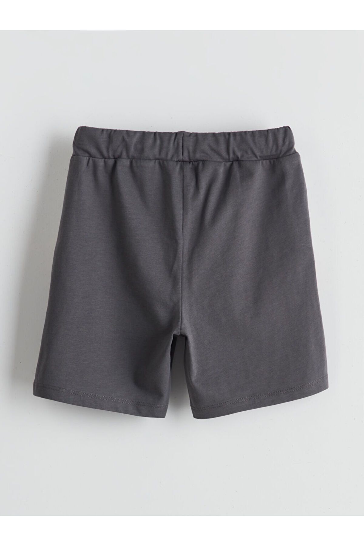 LC Waikiki-Basic Boy Shorts with Elastic Waist 2