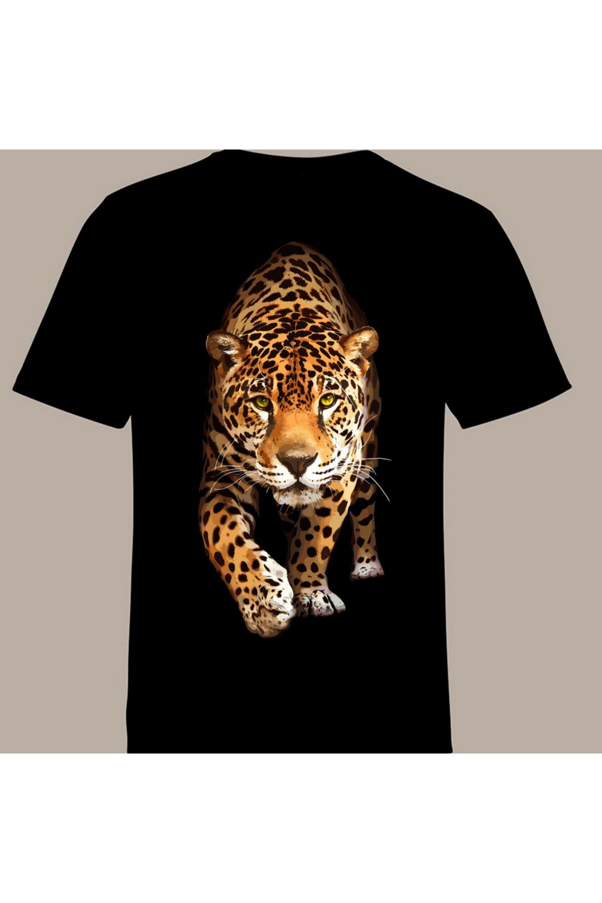 dsnstore ASLAN