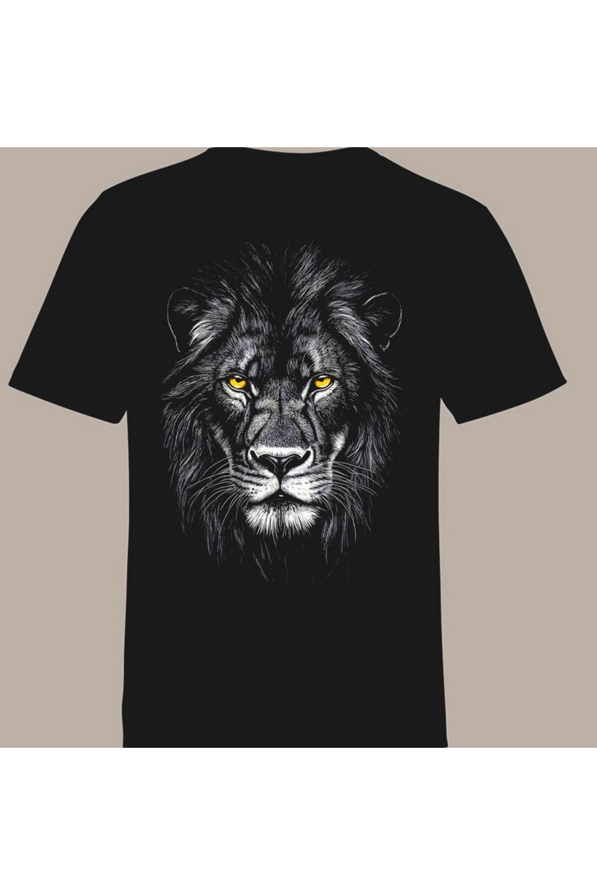 dsnstore aslan
