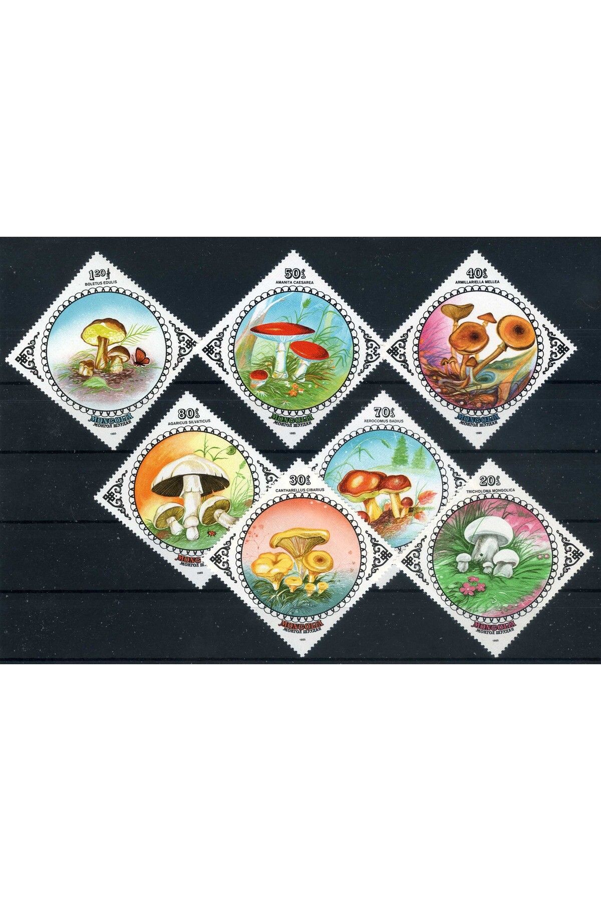 Jupiter Stamps Koleksiyon Pulları, 7 Pulluk Anı Pul Serisi-MANTARLAR,Konulu Pul Serisi,ASB-8816654599